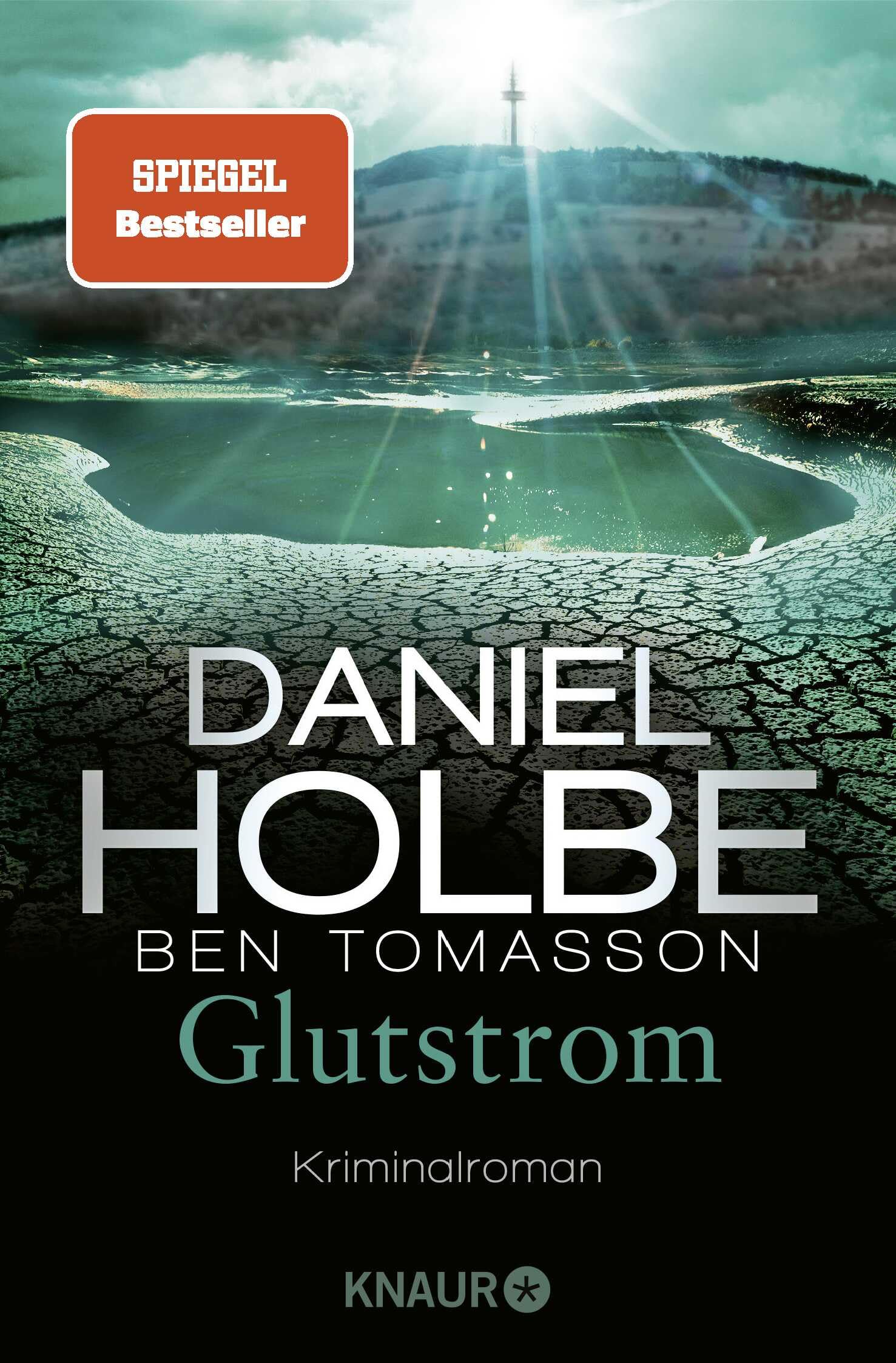 Glutstrom Contemporary literature Books