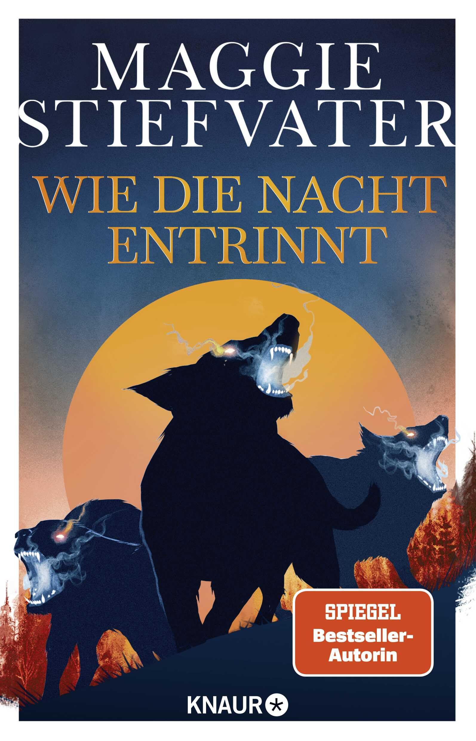 Wie die Nacht entrinnt (Dreamer-Trilogie, Band 3) Contemporary literature