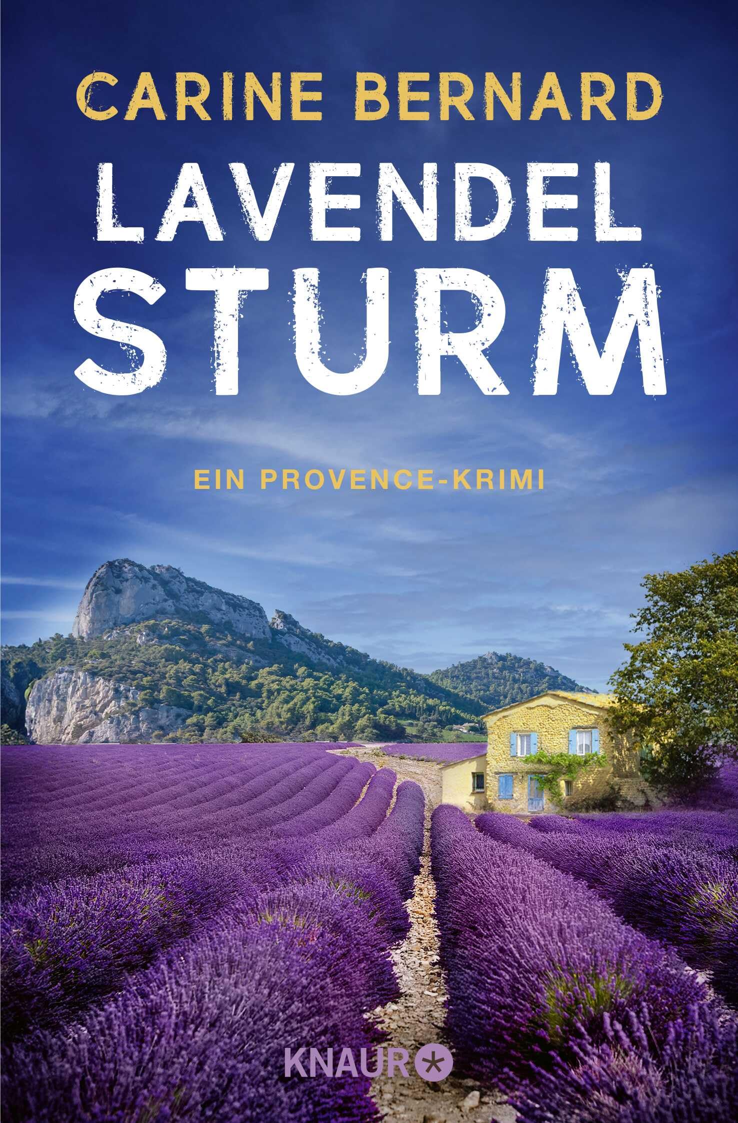Lavendel-Sturm Social Sciences Books