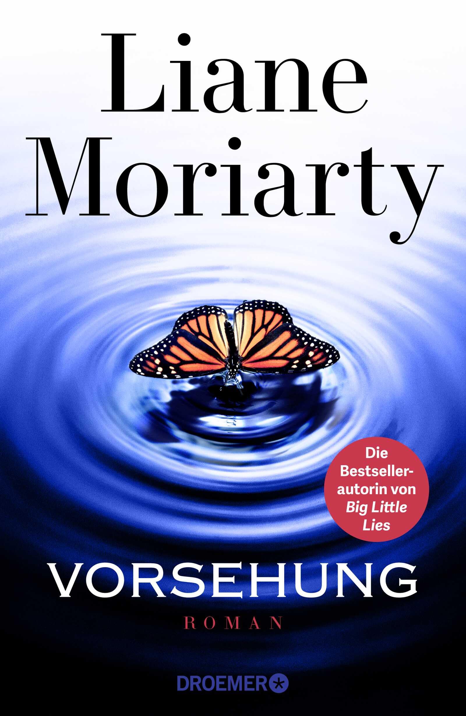 Vorsehung Contemporary literature Books