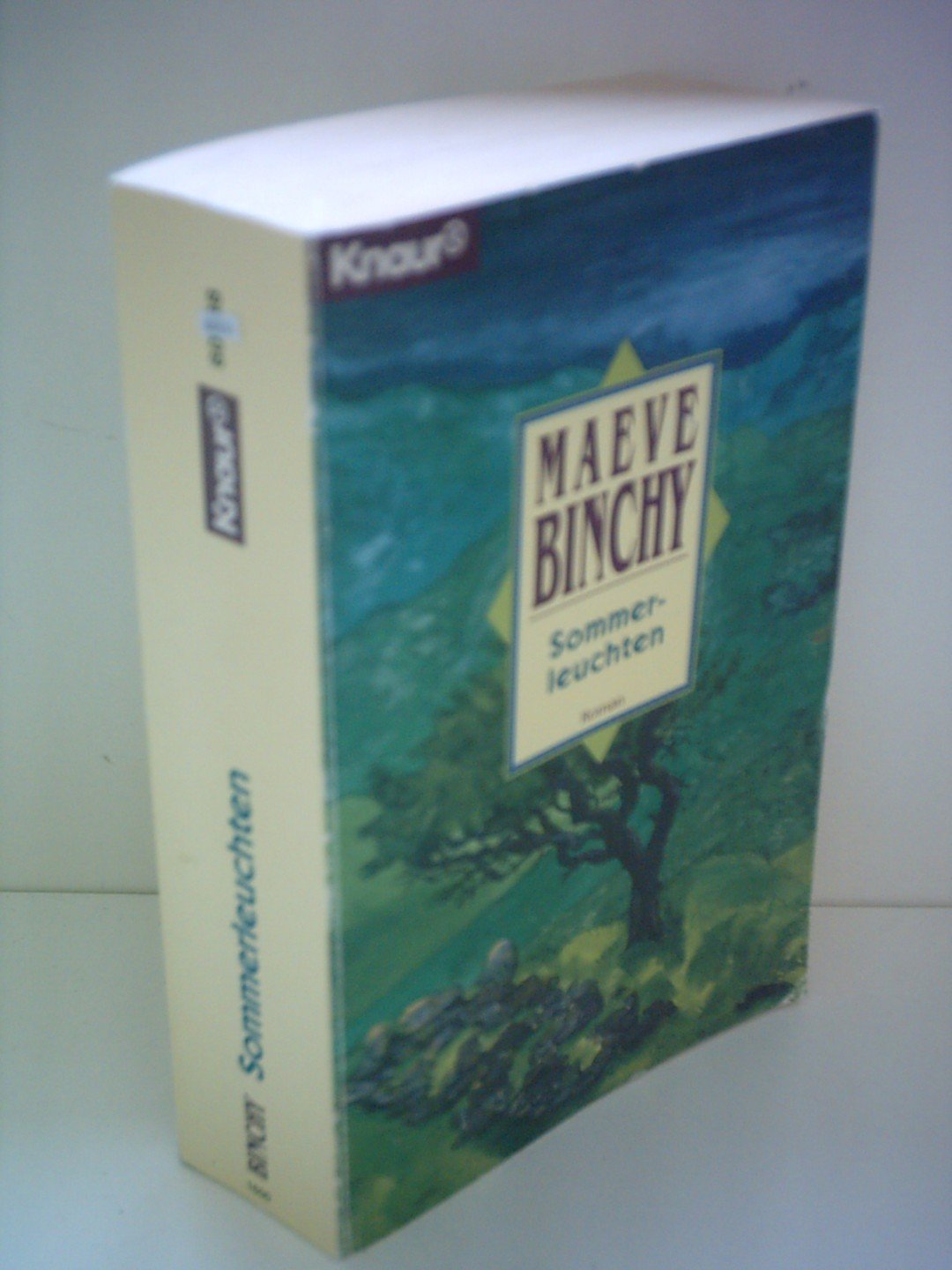 Sommerleuchten (Knaur Taschenbücher. Romane, Erzählungen) Contemporary literature