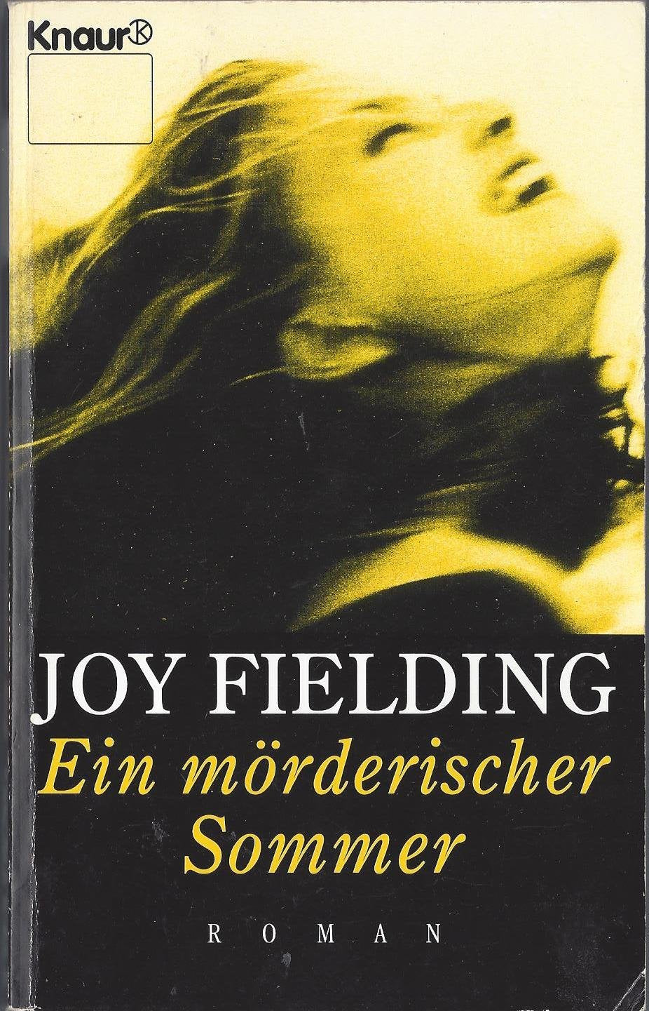 Ein mörderischer Sommer (Knaur Taschenbücher. Romane, Erzählungen) Crime & Thrillers