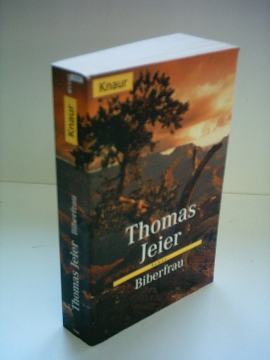 Biberfrau (Knaur Taschenbücher. Romane, Erzählungen) Books