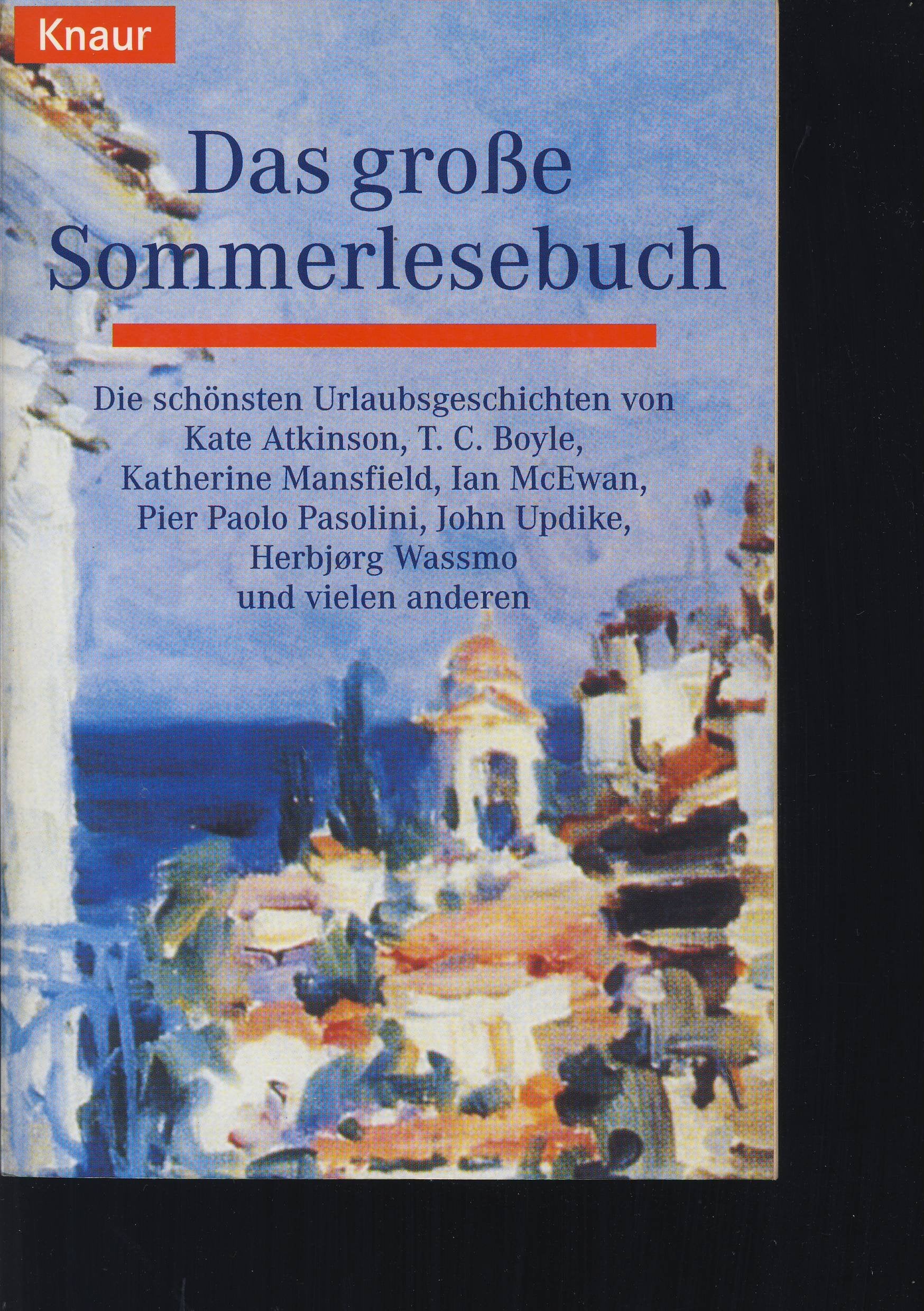 Das grosse Sommerlesebuch: Geschichten von Sonne, Sand und Wellen (Knaur Taschenbücher. Romane, Erzählungen) Books
