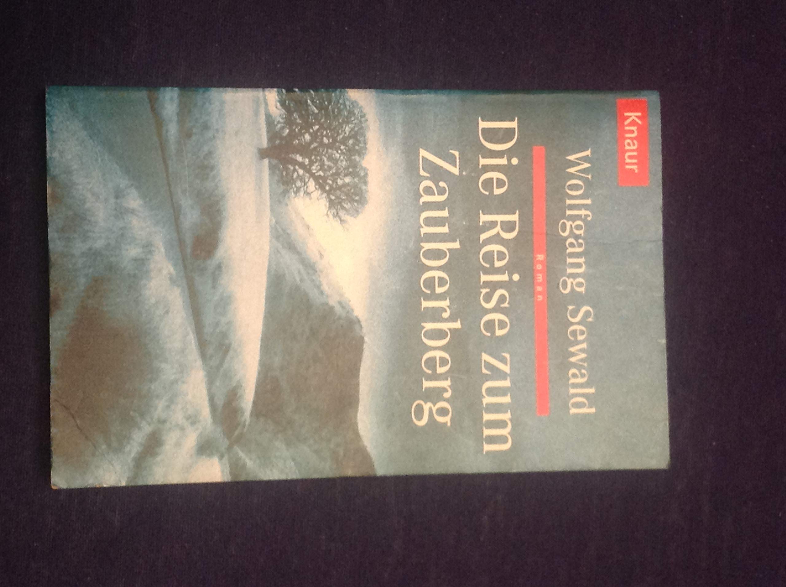 Die Reise zum Zauberberg (Knaur Taschenbücher. Romane, Erzählungen) Fairy Tales & Legends