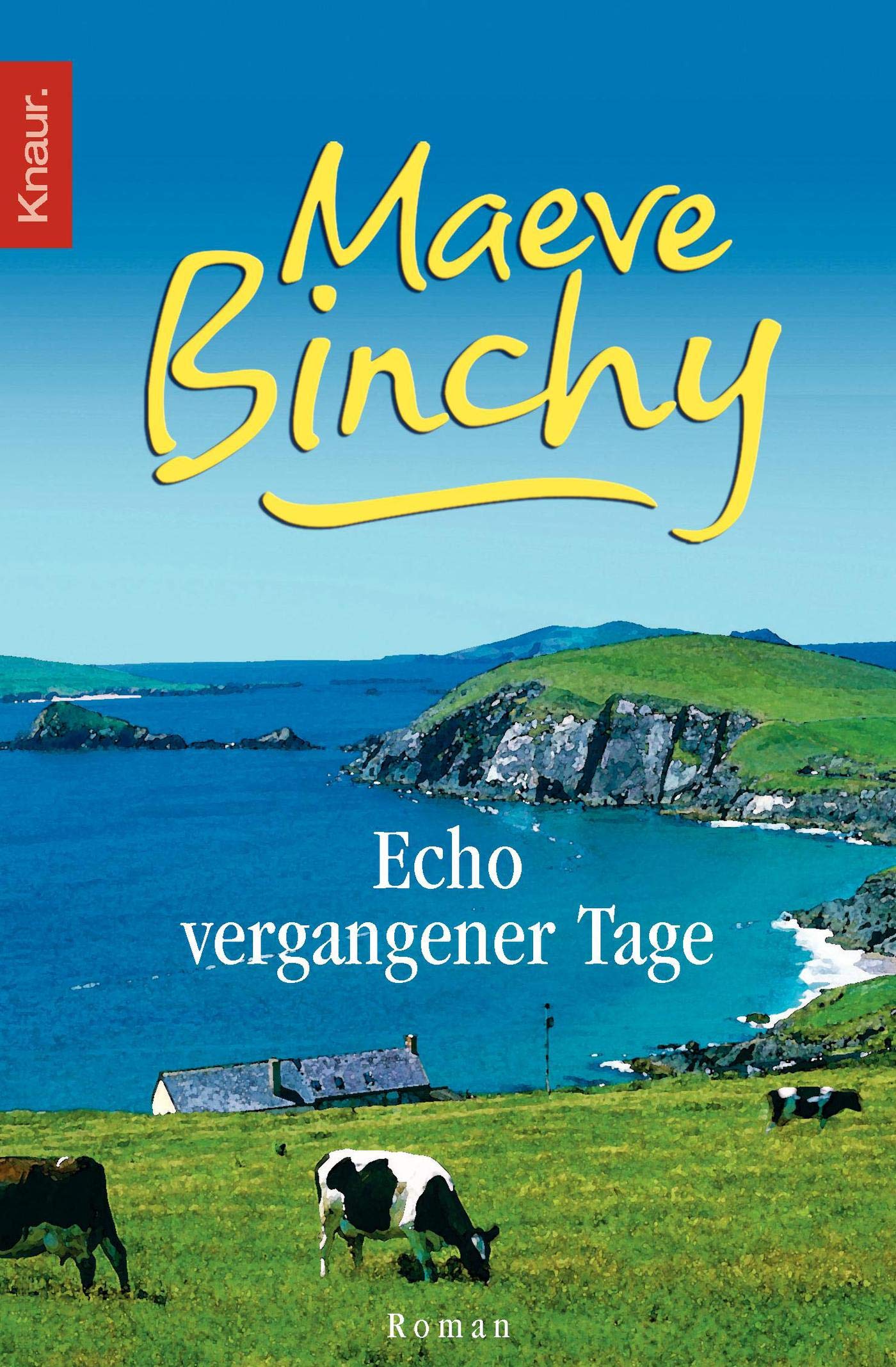 Echo vergangener Tage: Roman Contemporary literature