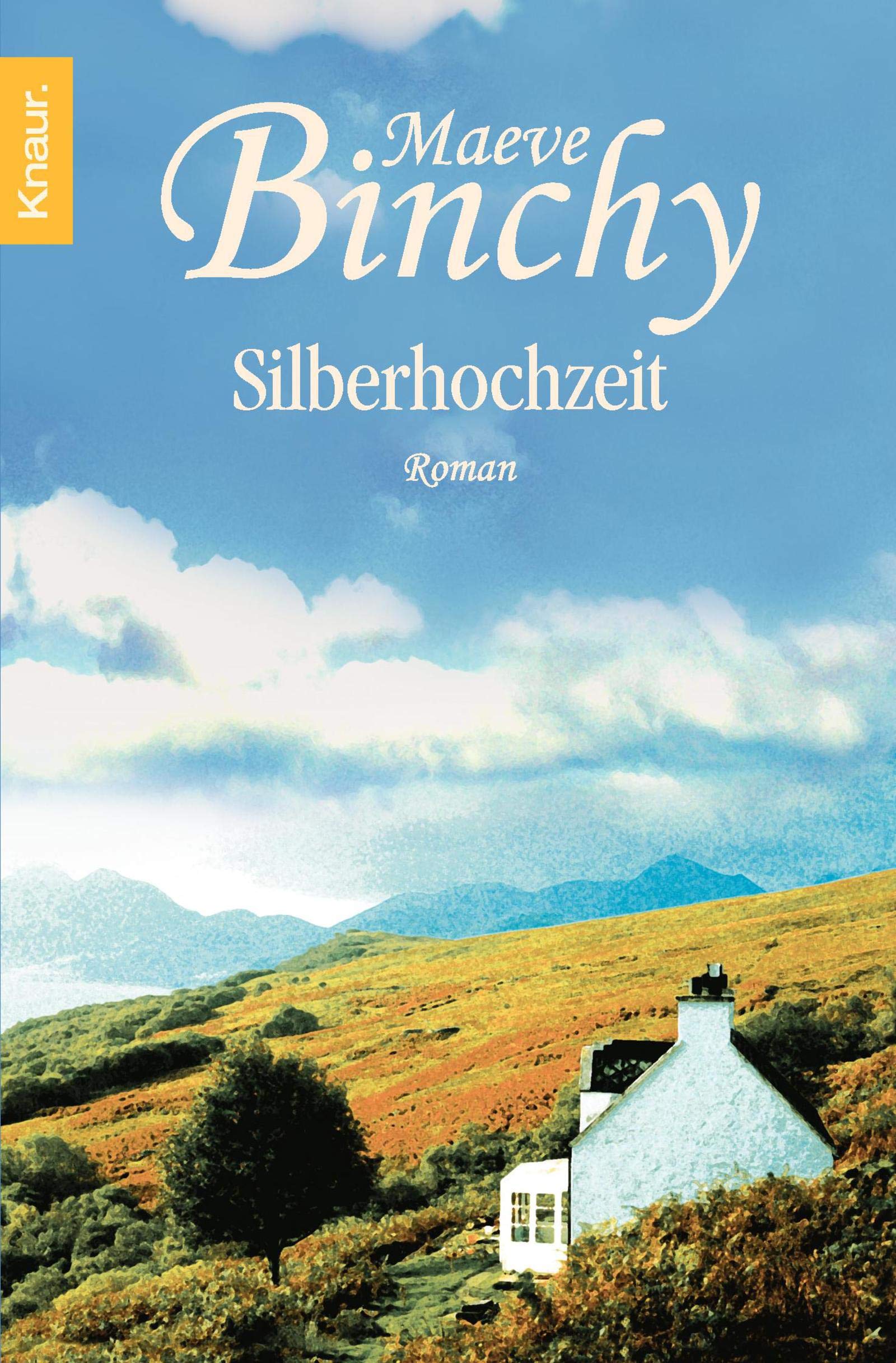 Silberhochzeit: Roman Contemporary literature