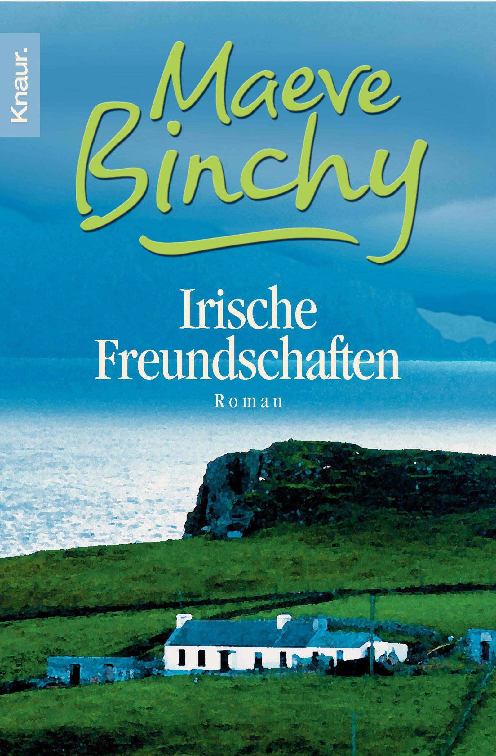 Irische Freundschaften: Roman Contemporary literature