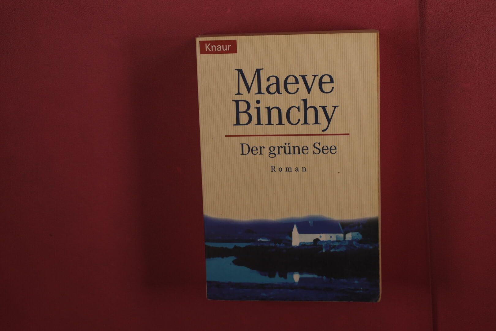 Der grüne See: Roman Contemporary literature