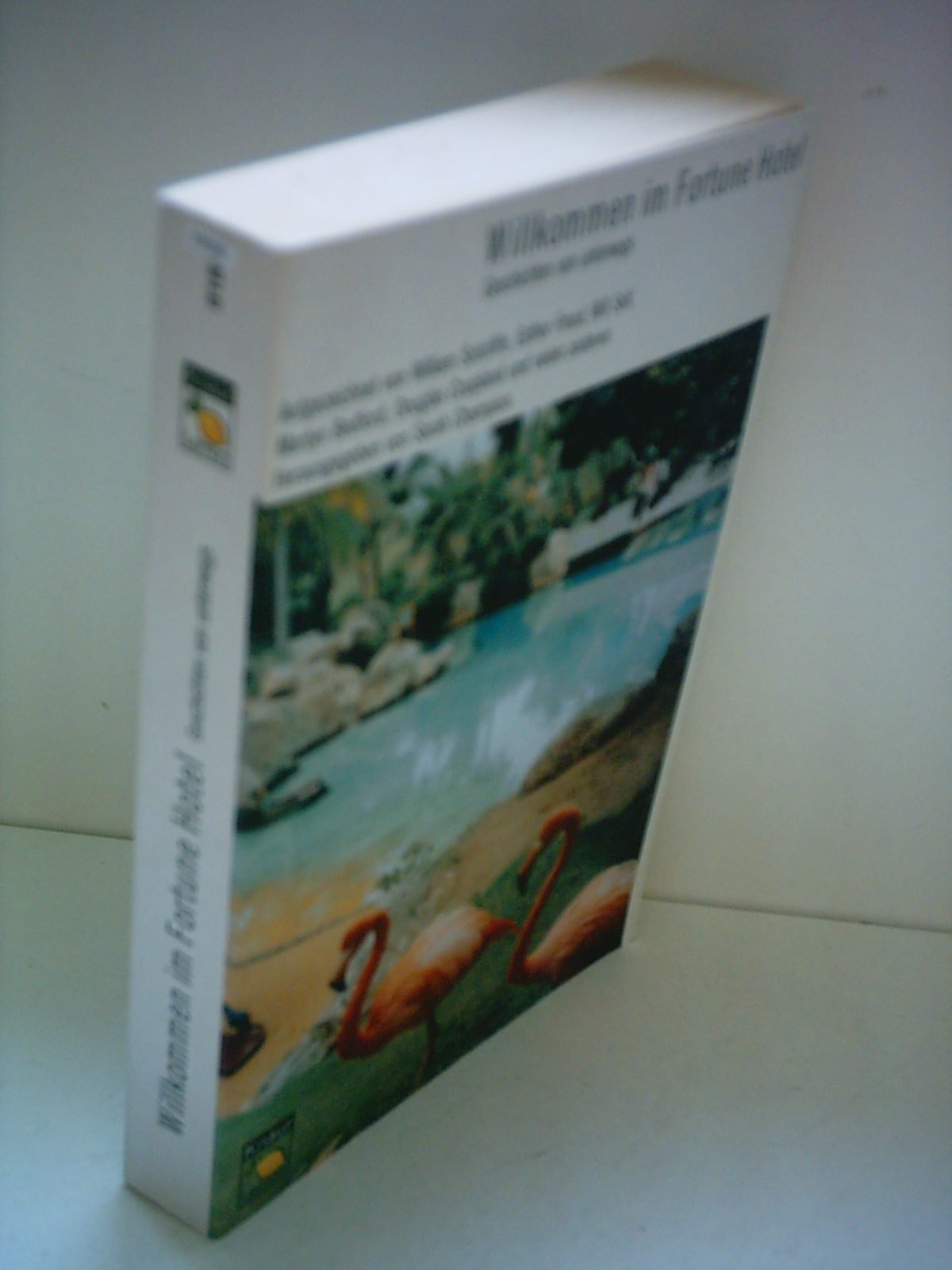 Willkommen im Fortune Hotel: Geschichten von unterwegs (Knaur Taschenbuch. Lemon) Books