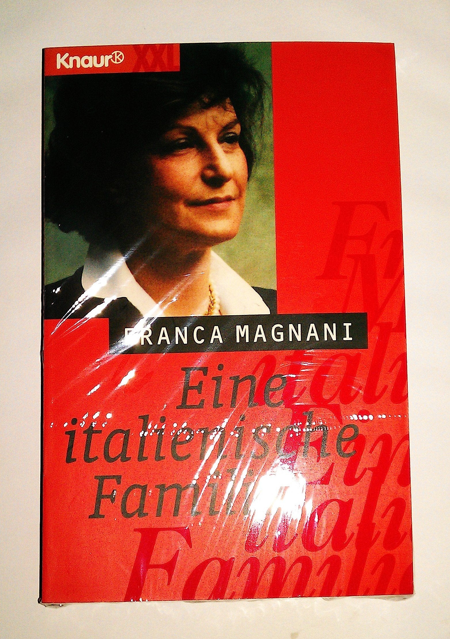 Eine italienische Familie (Knaur Taschenbücher. XXL) Contemporary literature