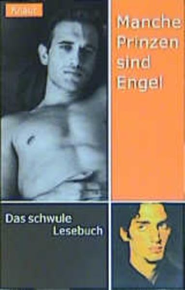 Manche Prinzen sind Engel: Das schwule Lesebuch Fiction