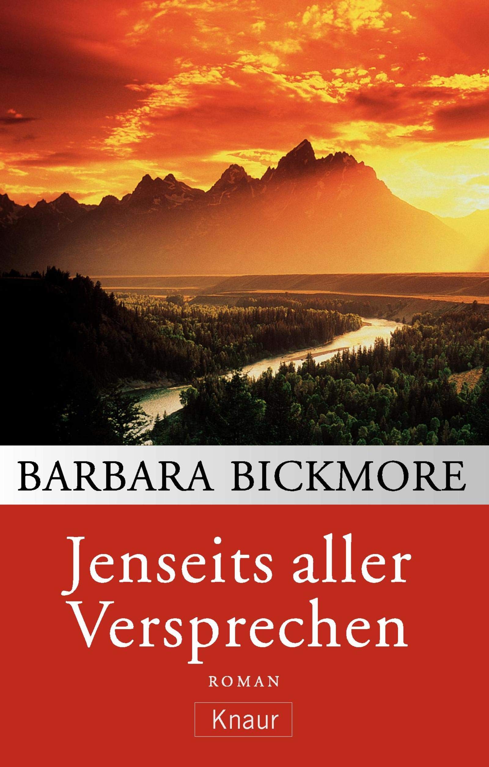 Jenseits aller Versprechen Contemporary literature Books