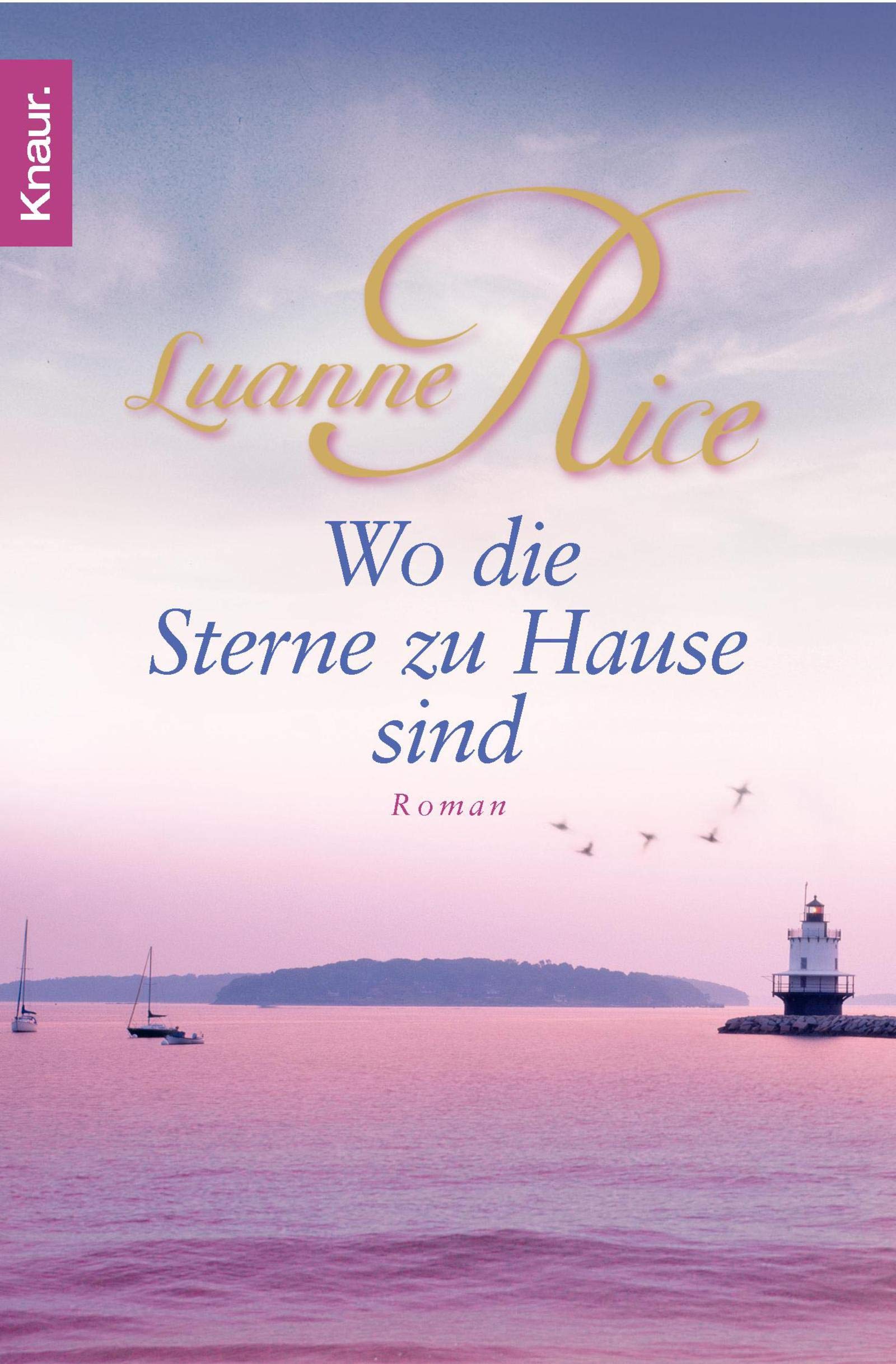 Wo die Sterne zu Hause sind: Roman Contemporary literature