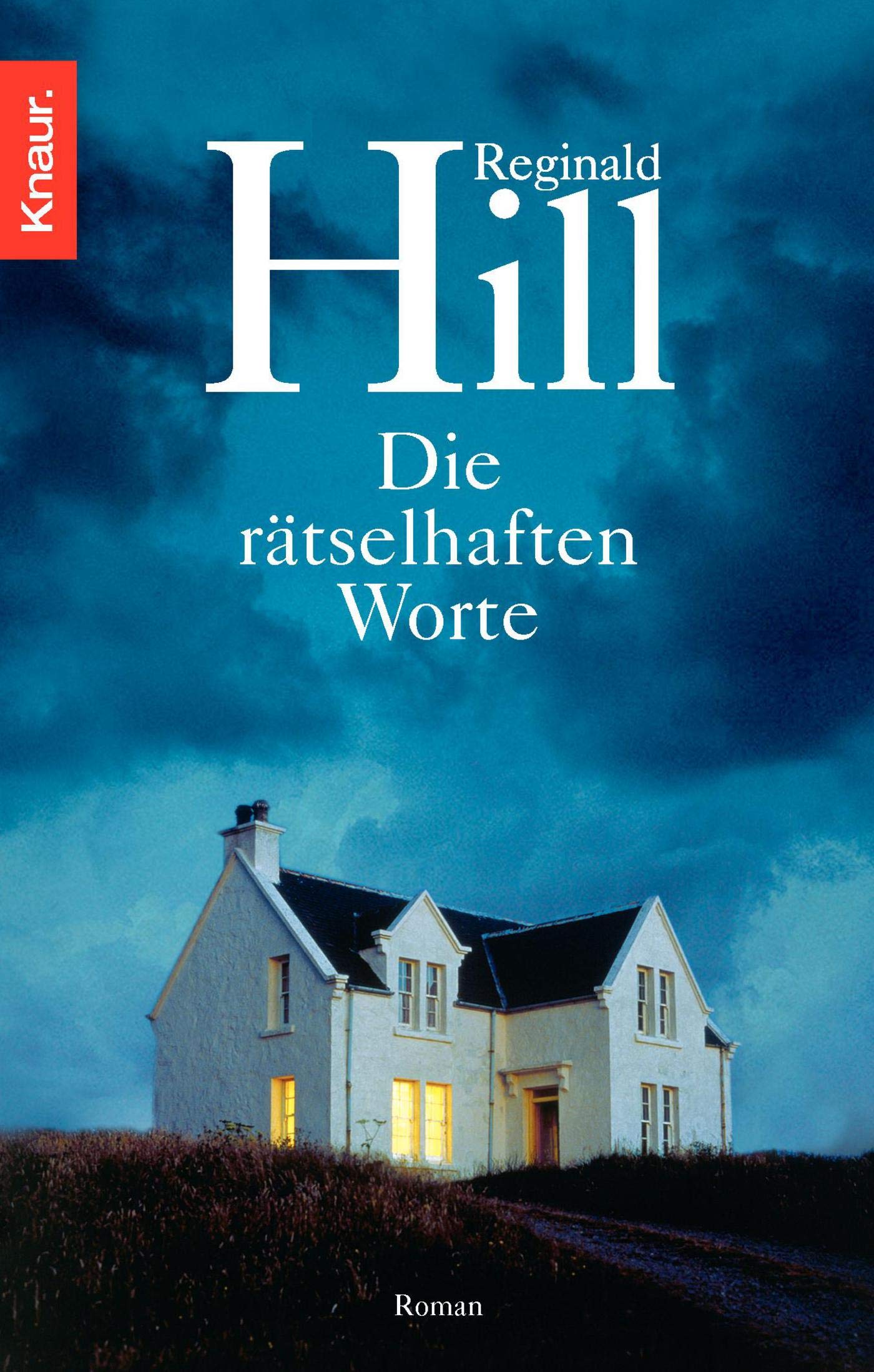 Die rätselhaften Worte Contemporary literature Books