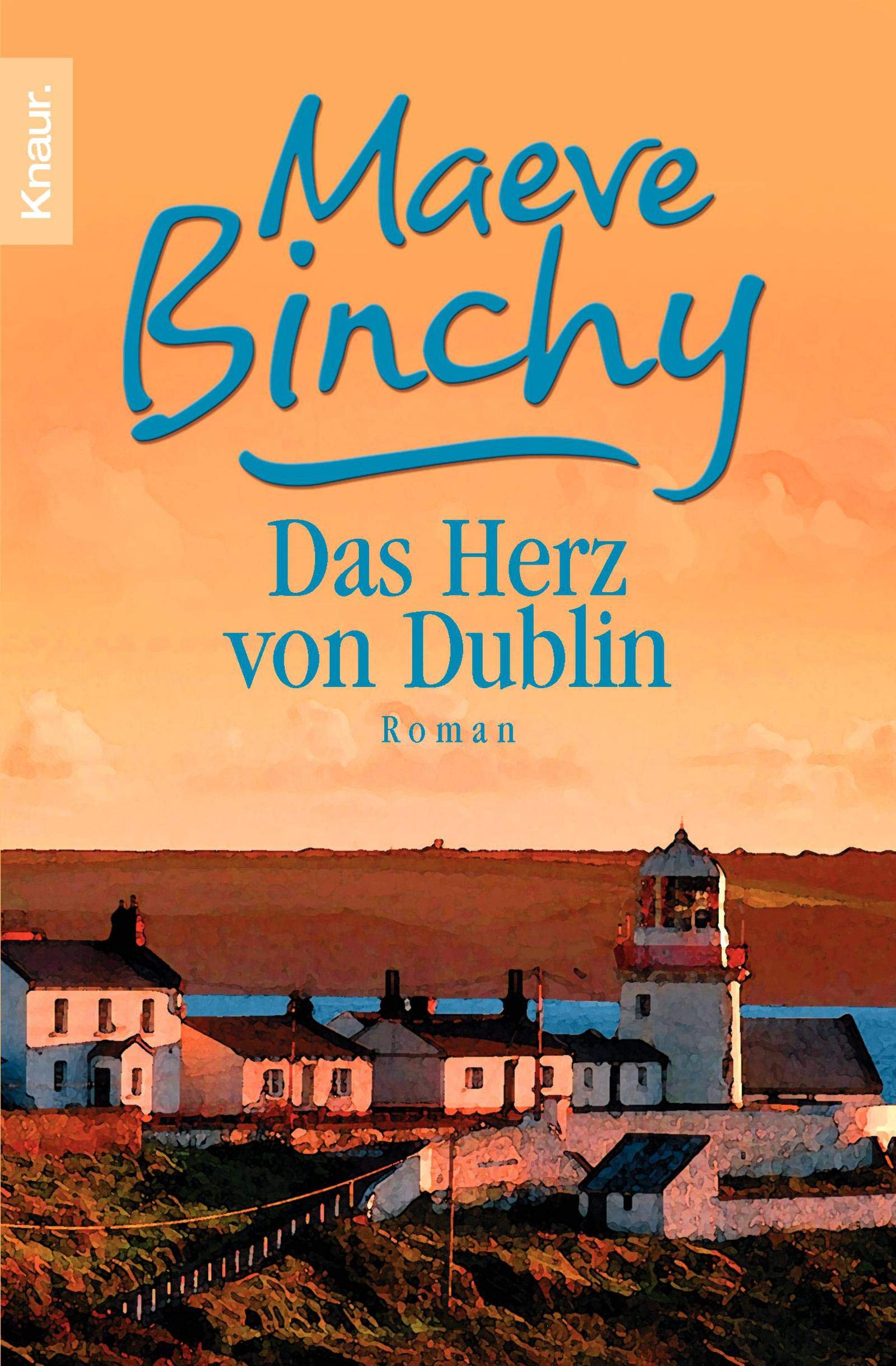 Das Herz von Dublin: Neue Geschichten aus Irland Contemporary literature