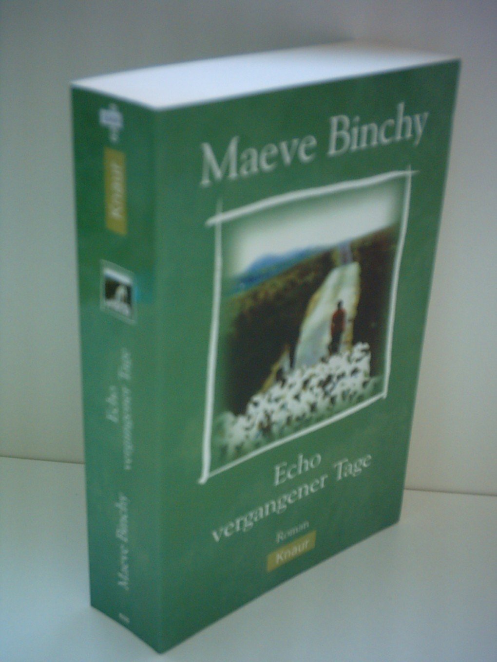 Echo vergangener Tage Contemporary literature