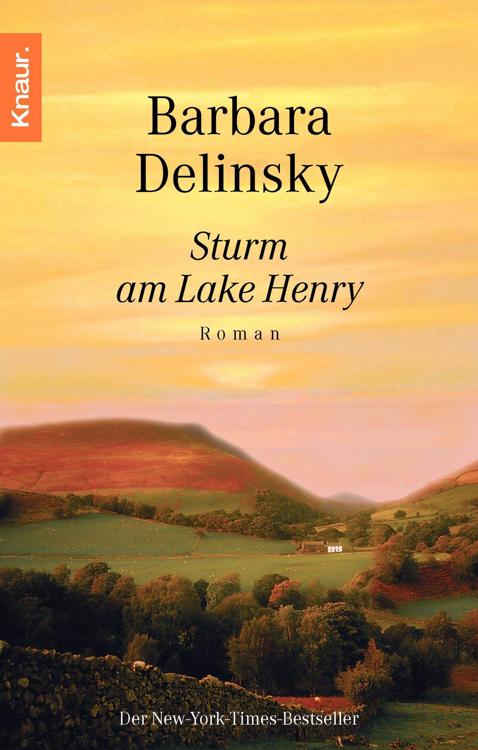 Sturm am Lake Henry: Roman Contemporary literature