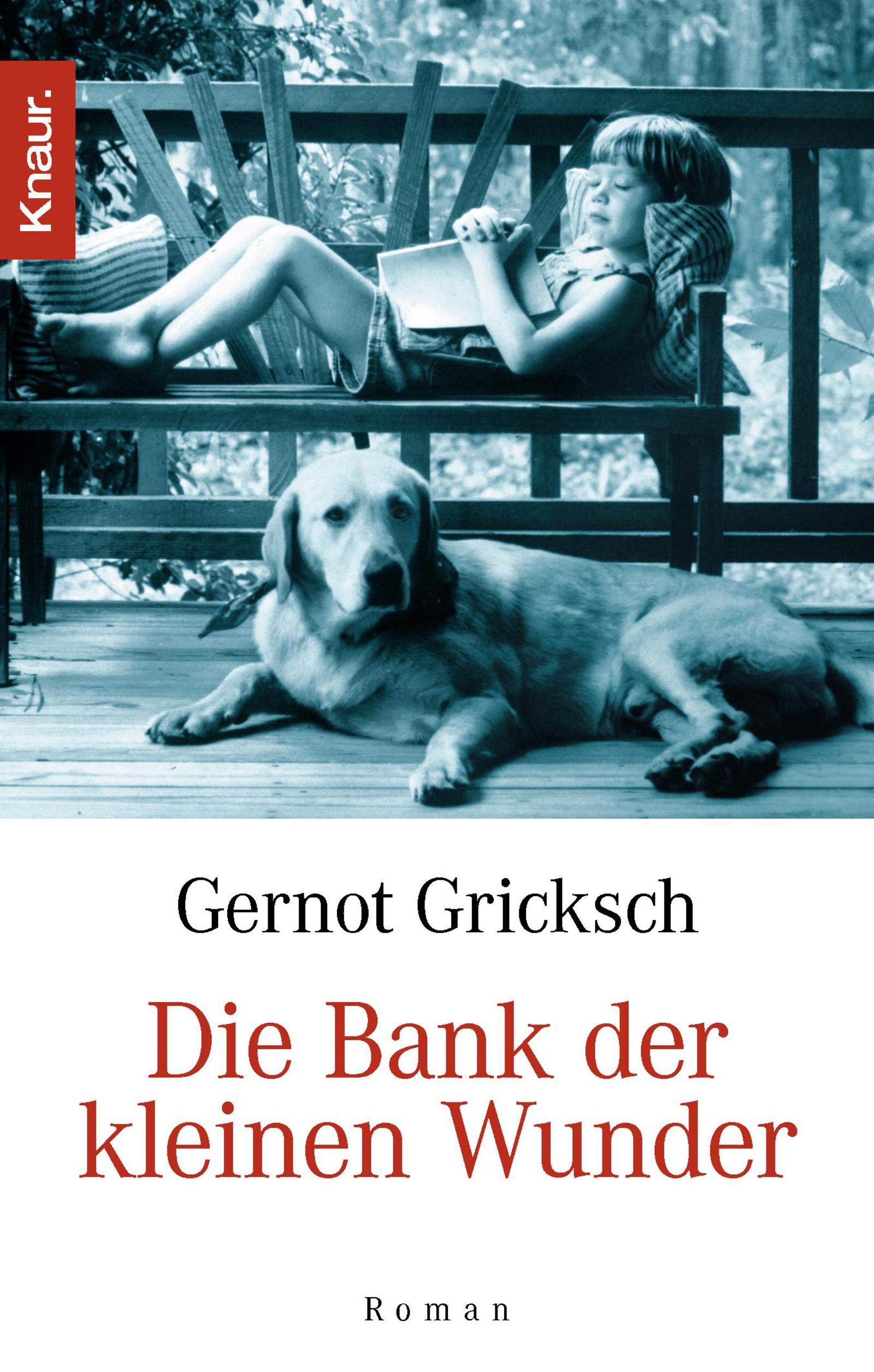 Die Bank der kleinen Wunder: Roman Contemporary literature