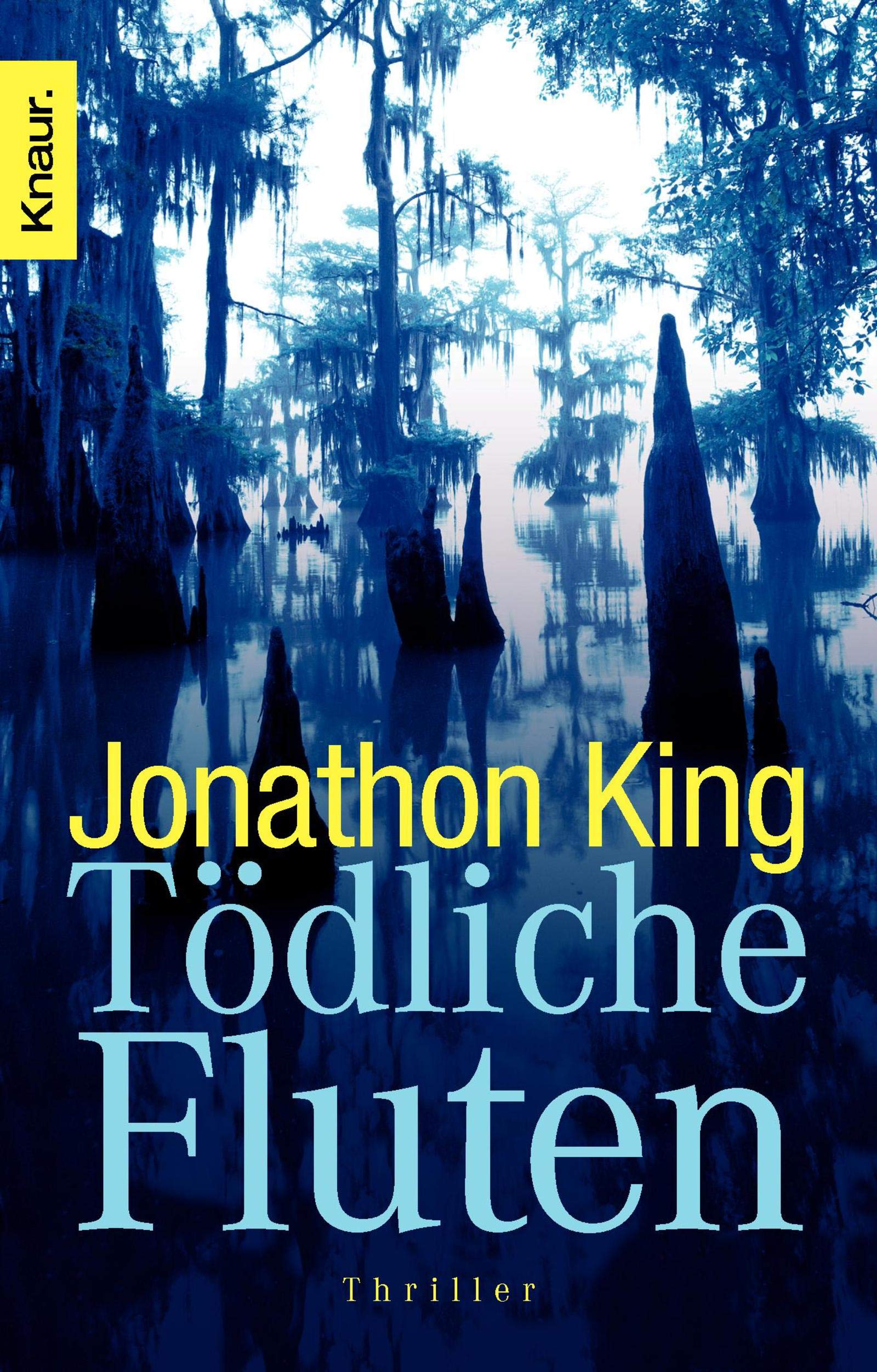 Product Image: Tödliche Fluten: Thriller