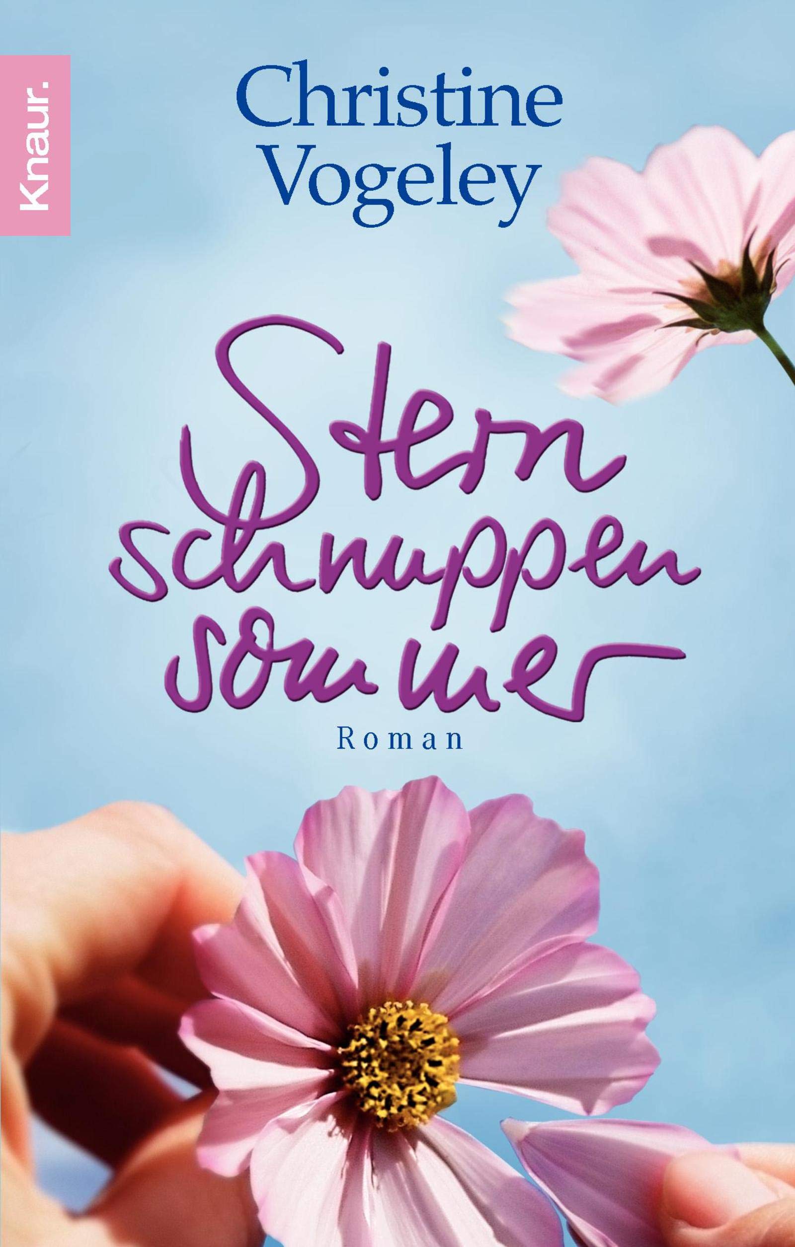 Sternschnuppensommer: Roman Contemporary literature