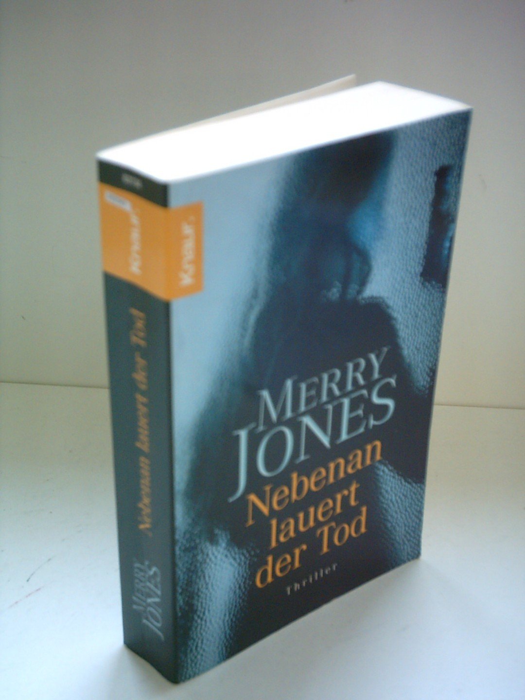 Nebenan lauert der Tod: Thriller Contemporary literature
