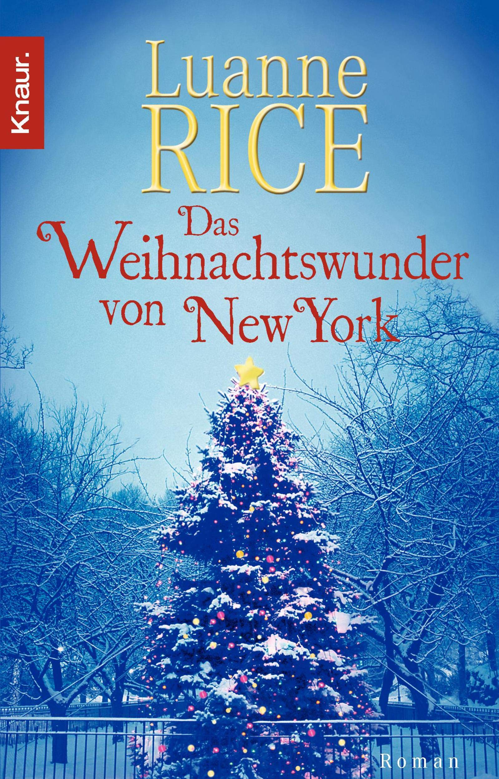 Das Weihnachtswunder von New York Contemporary literature