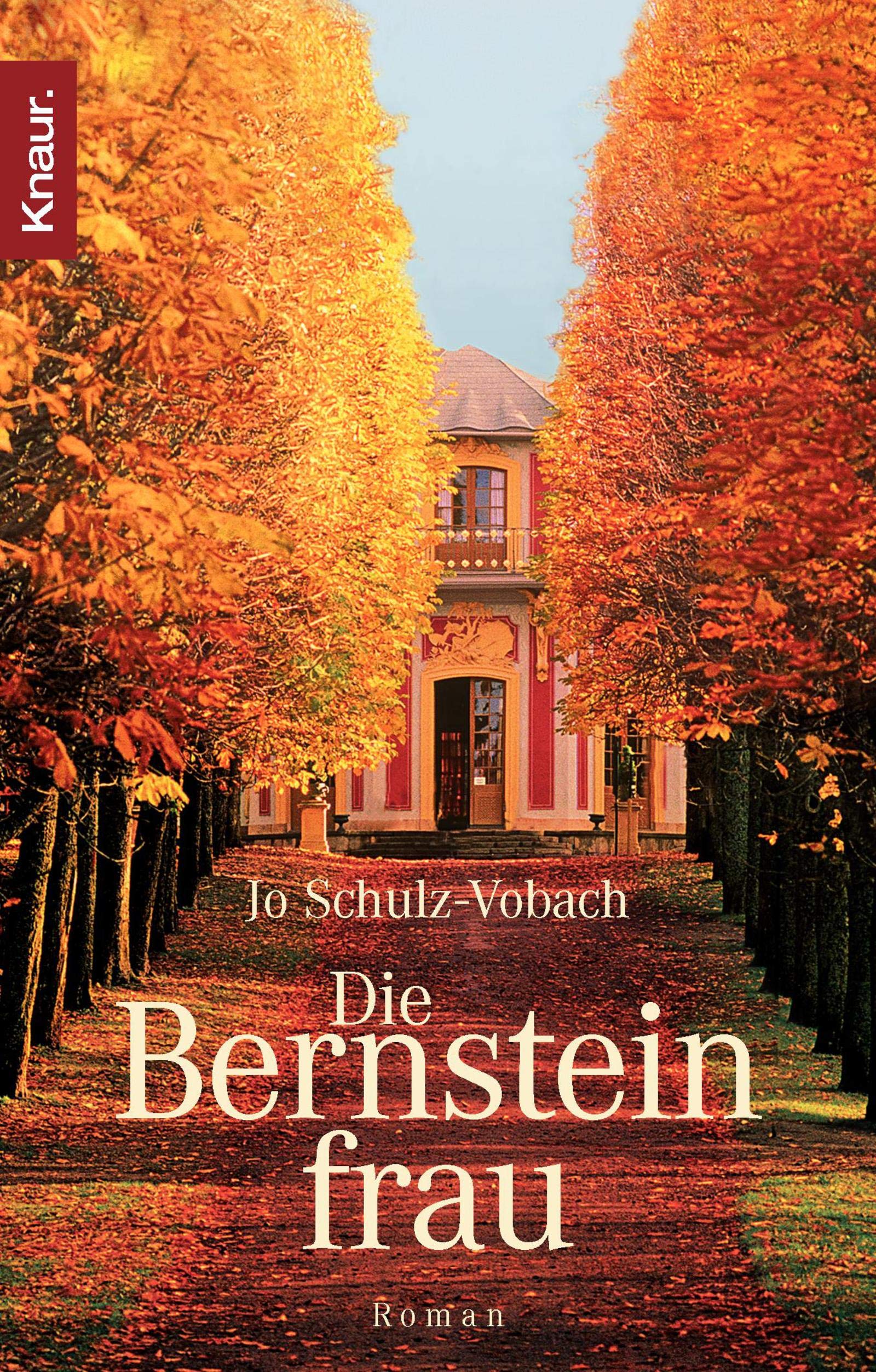 Die Bernsteinfrau: Roman Contemporary literature