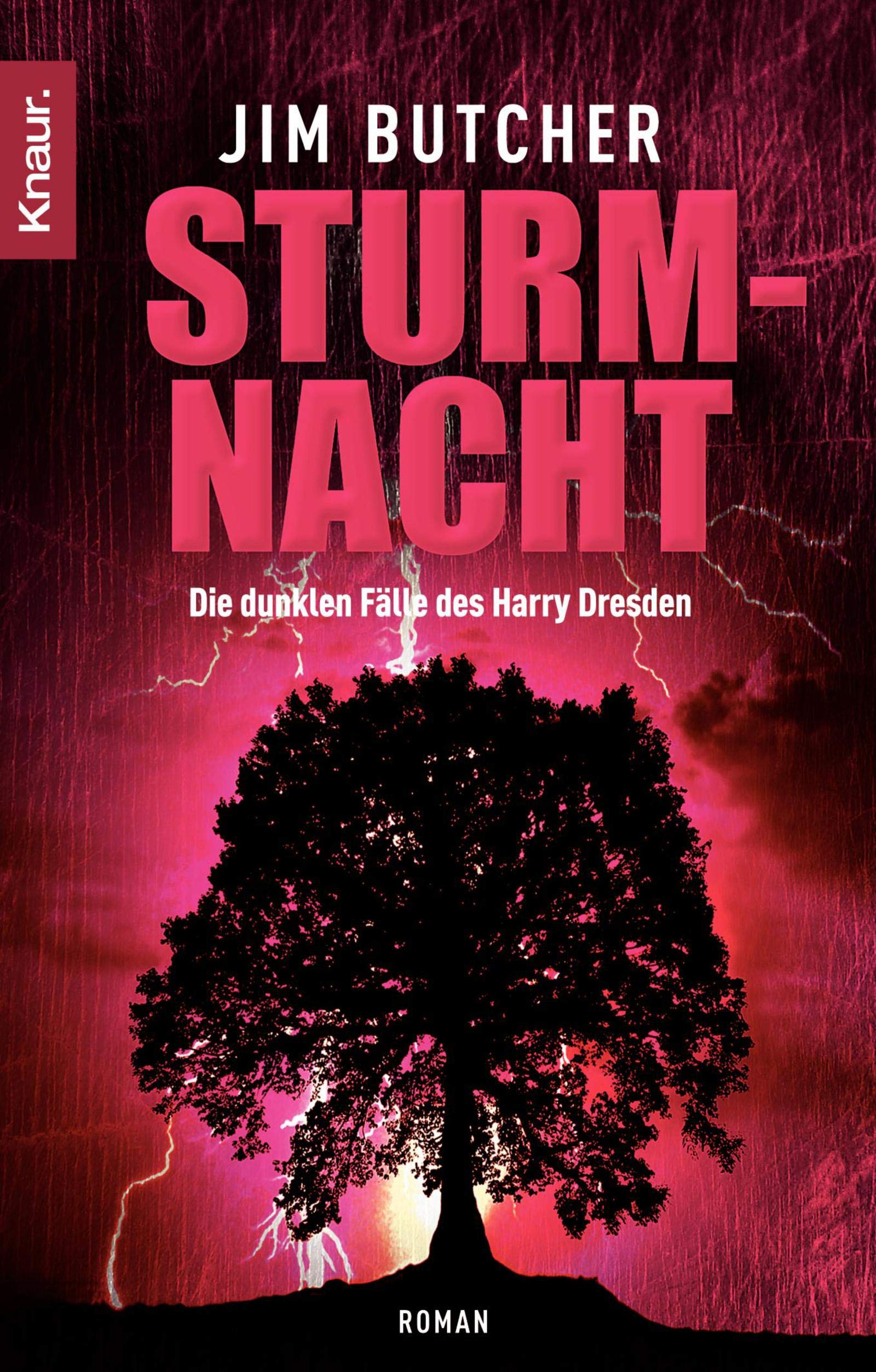 Sturmnacht: Die dunklen Fälle des Harry Dresden Contemporary literature