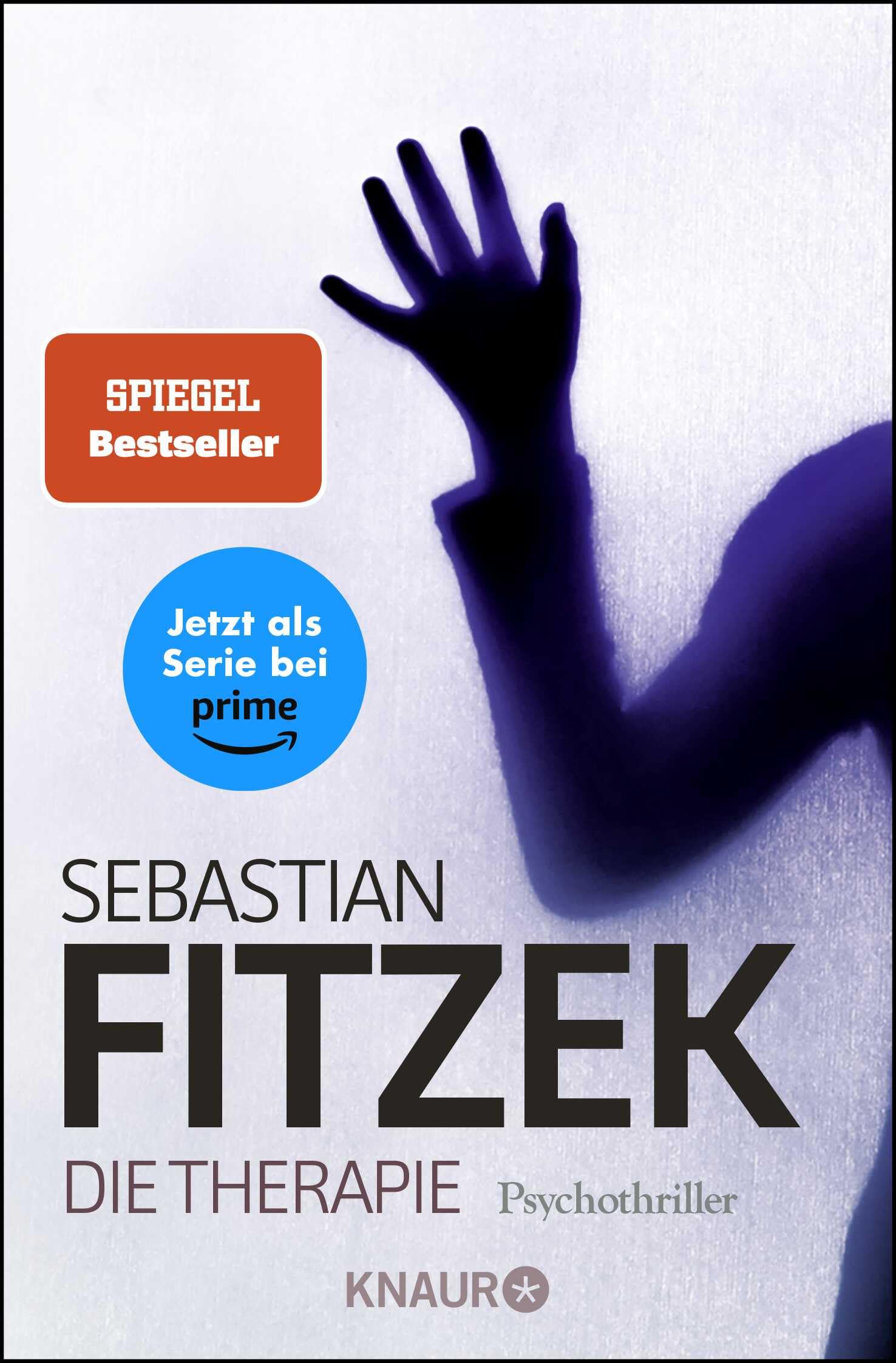 Die Therapie Contemporary literature Books