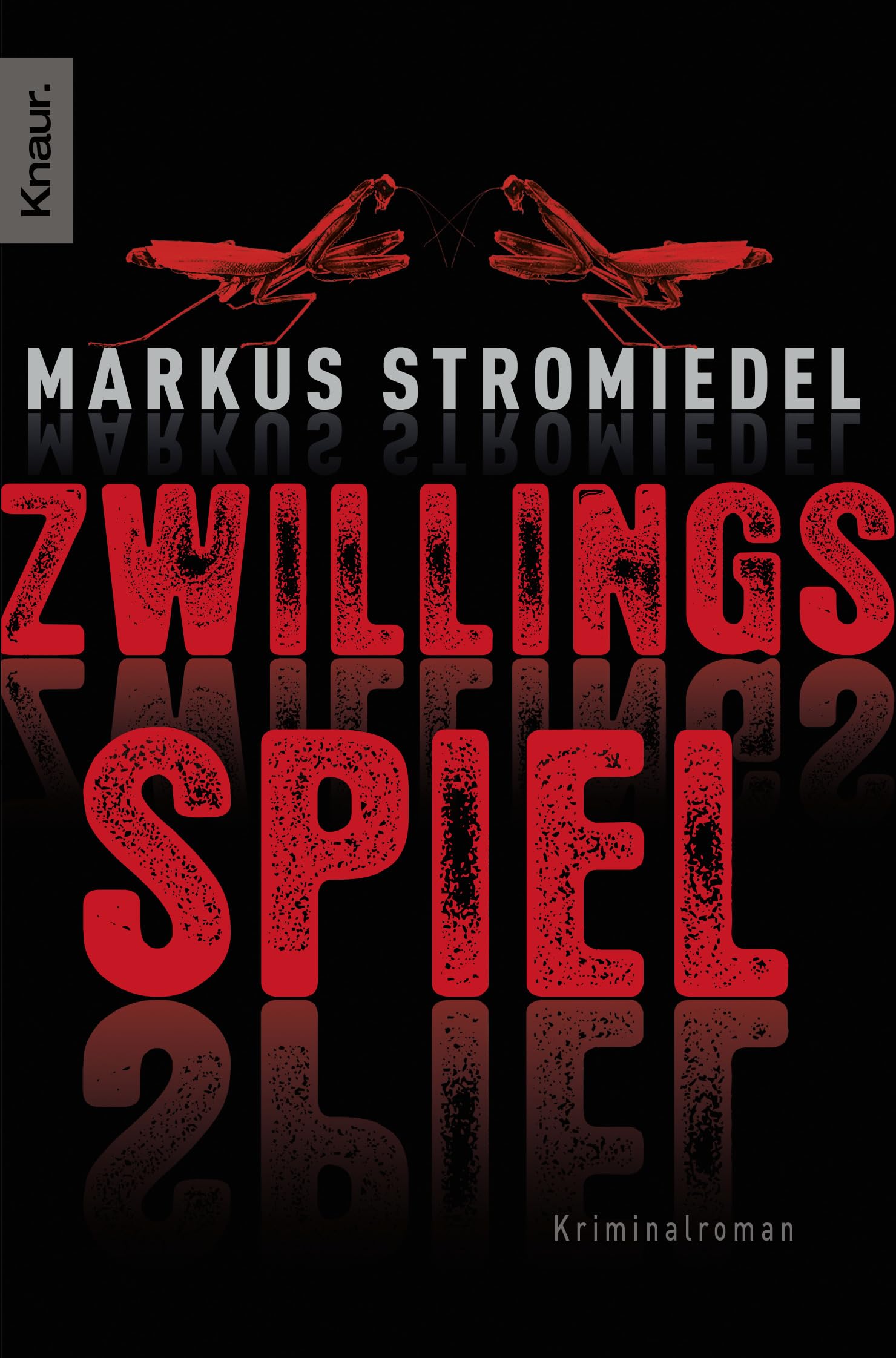 Zwillingsspiel Contemporary literature Books