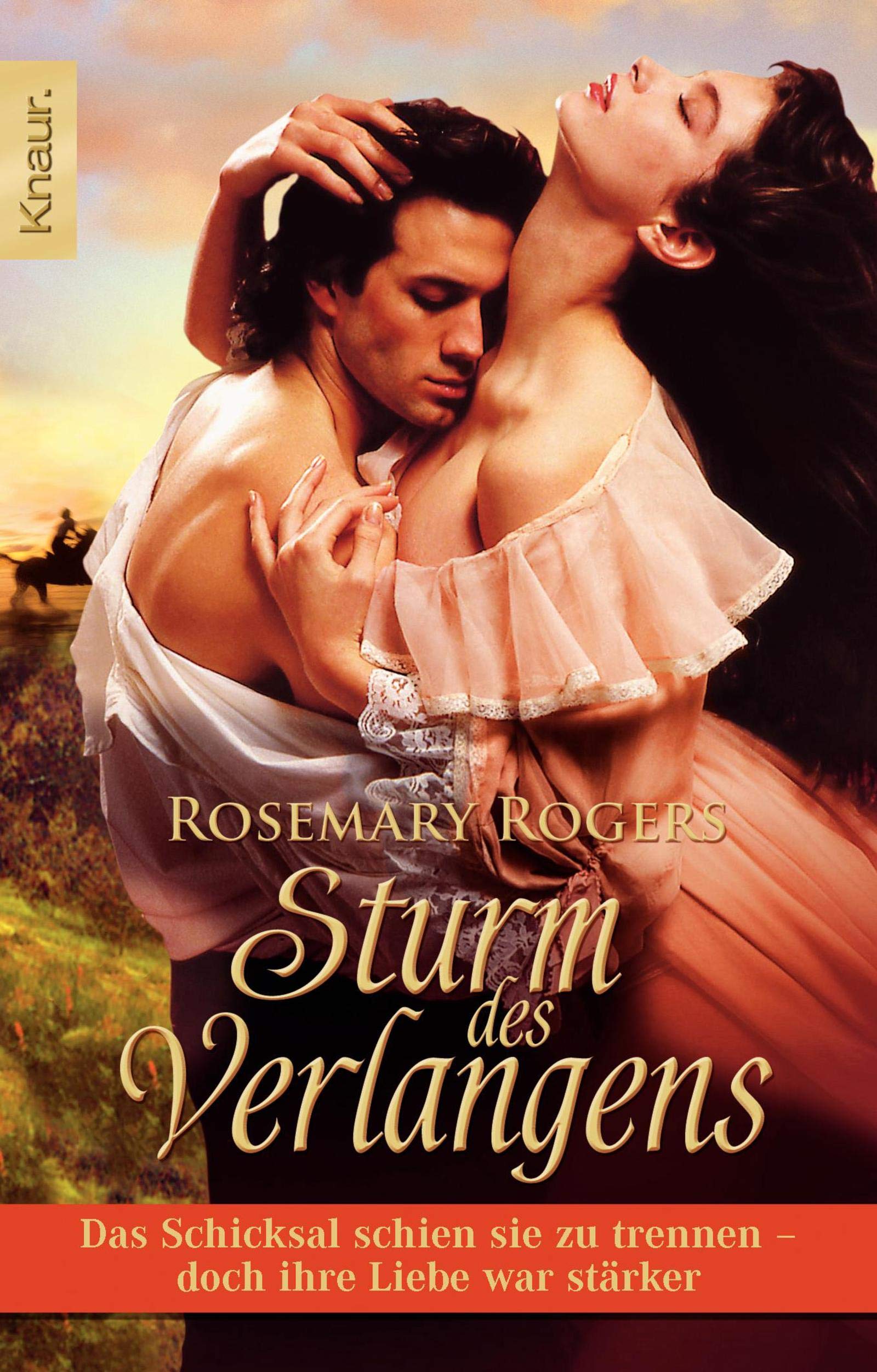 Sturm des Verlangens: Roman Contemporary literature