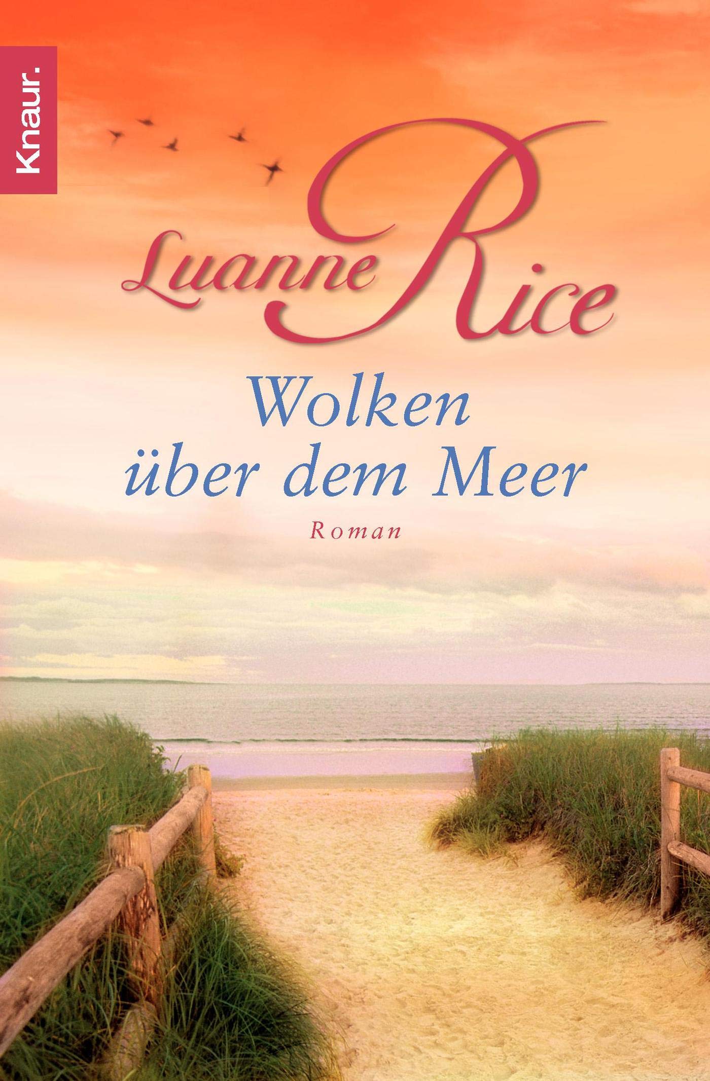 Wolken über dem Meer Contemporary literature
