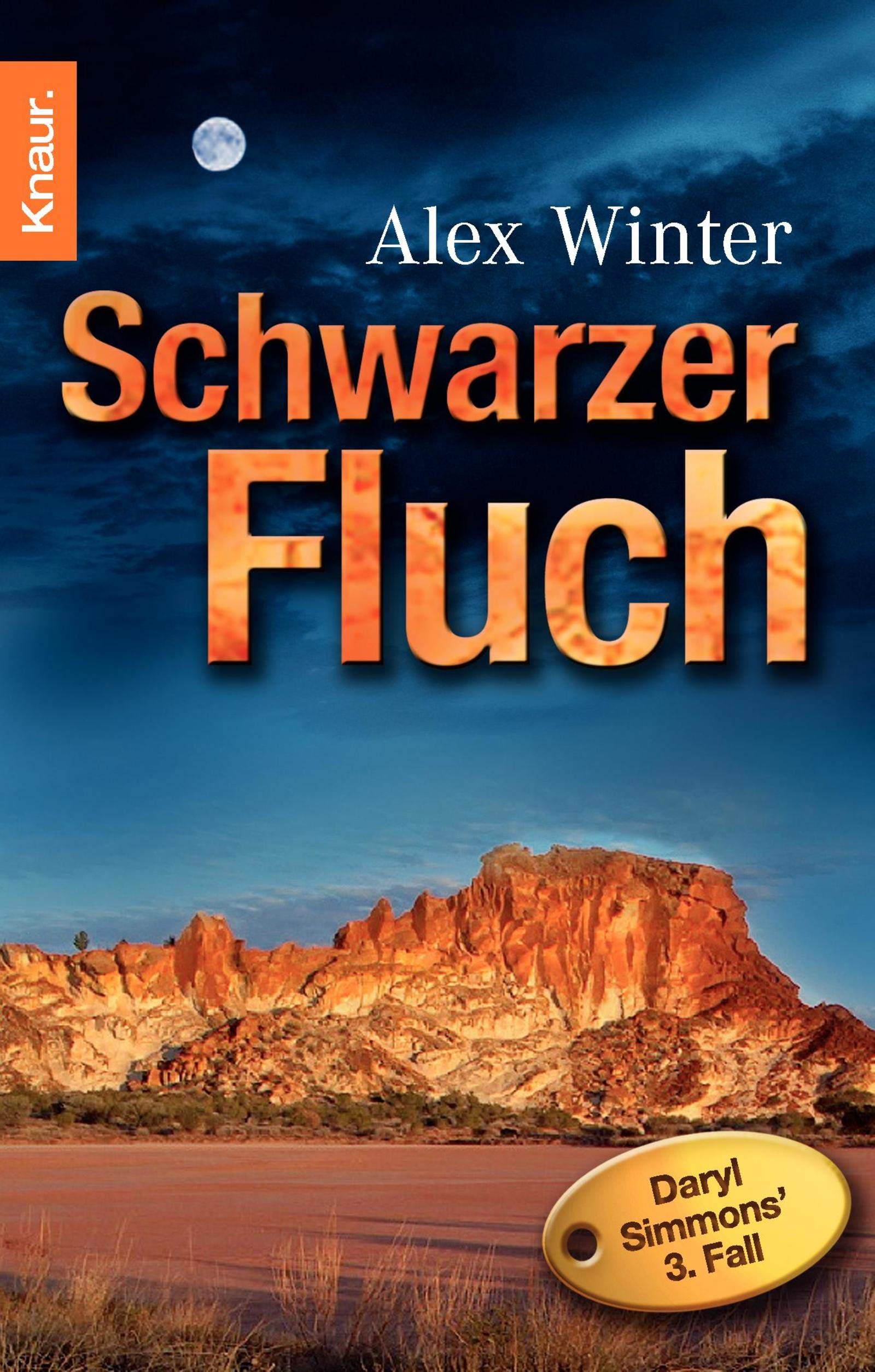 Schwarzer Fluch: Daryl Simmons' 3. Fall Contemporary literature Books