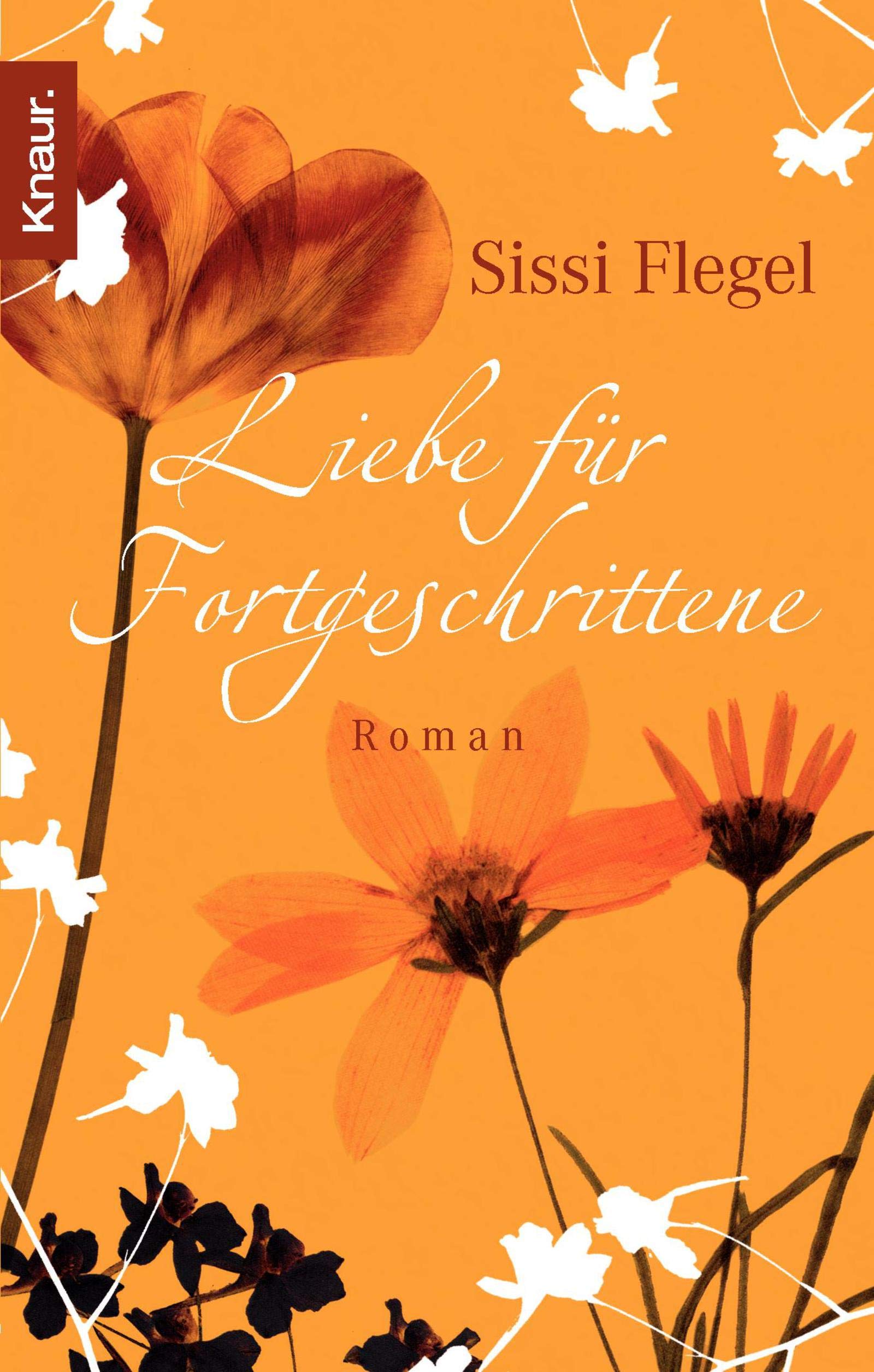 Liebe für Fortgeschrittene: Roman Contemporary literature