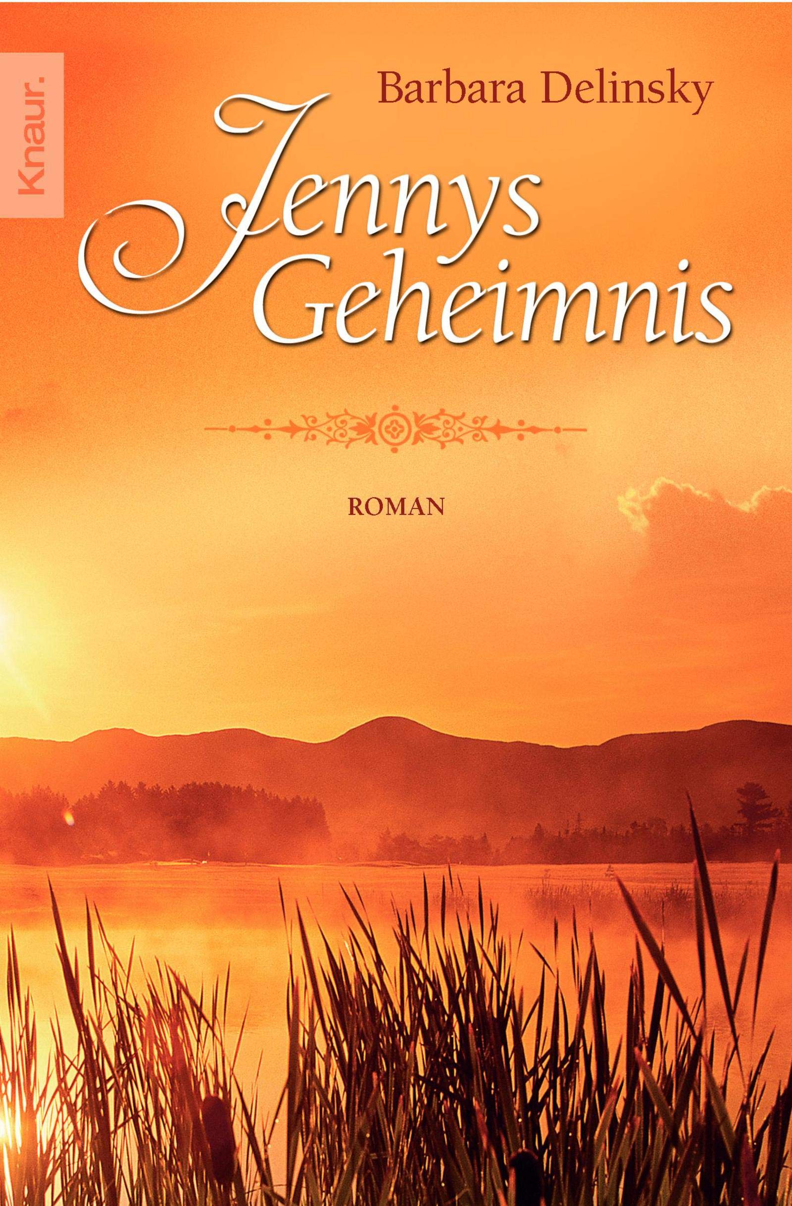 Jennys Geheimnis: Roman Contemporary literature