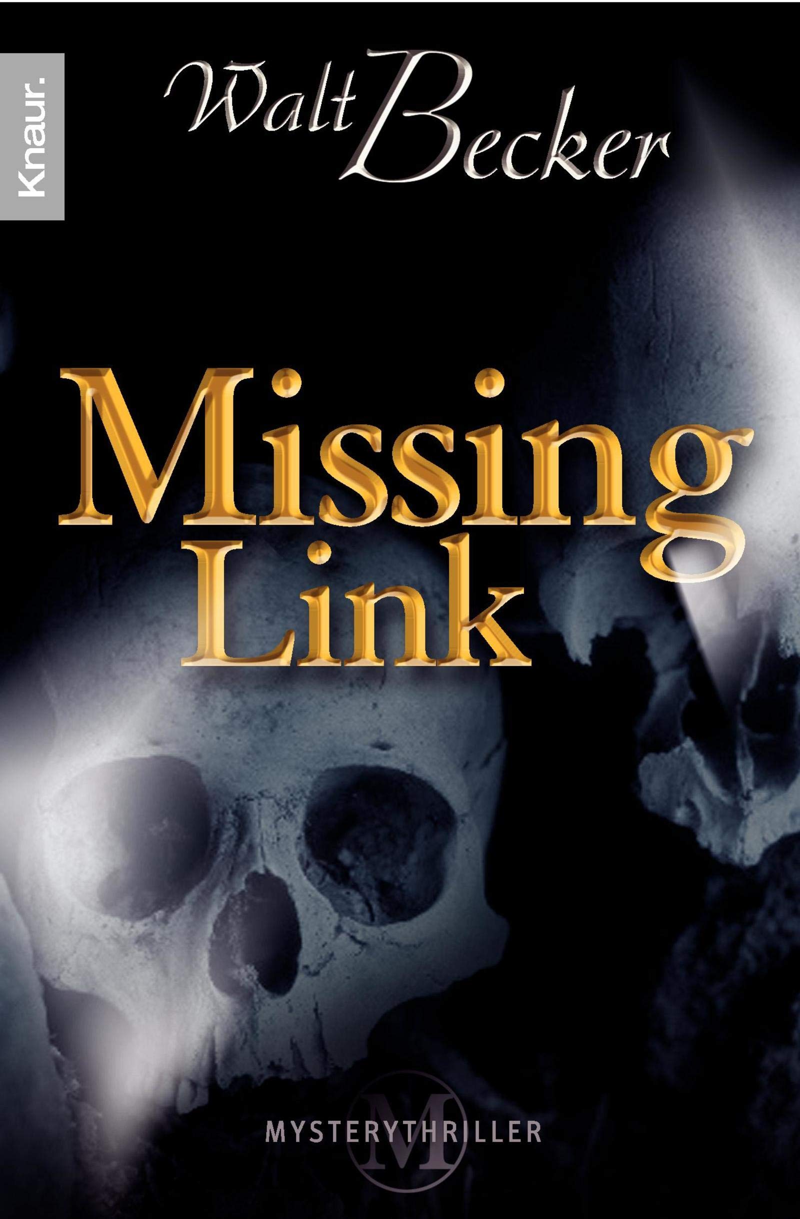Missing Link: Mysterythriller Contemporary literature Books