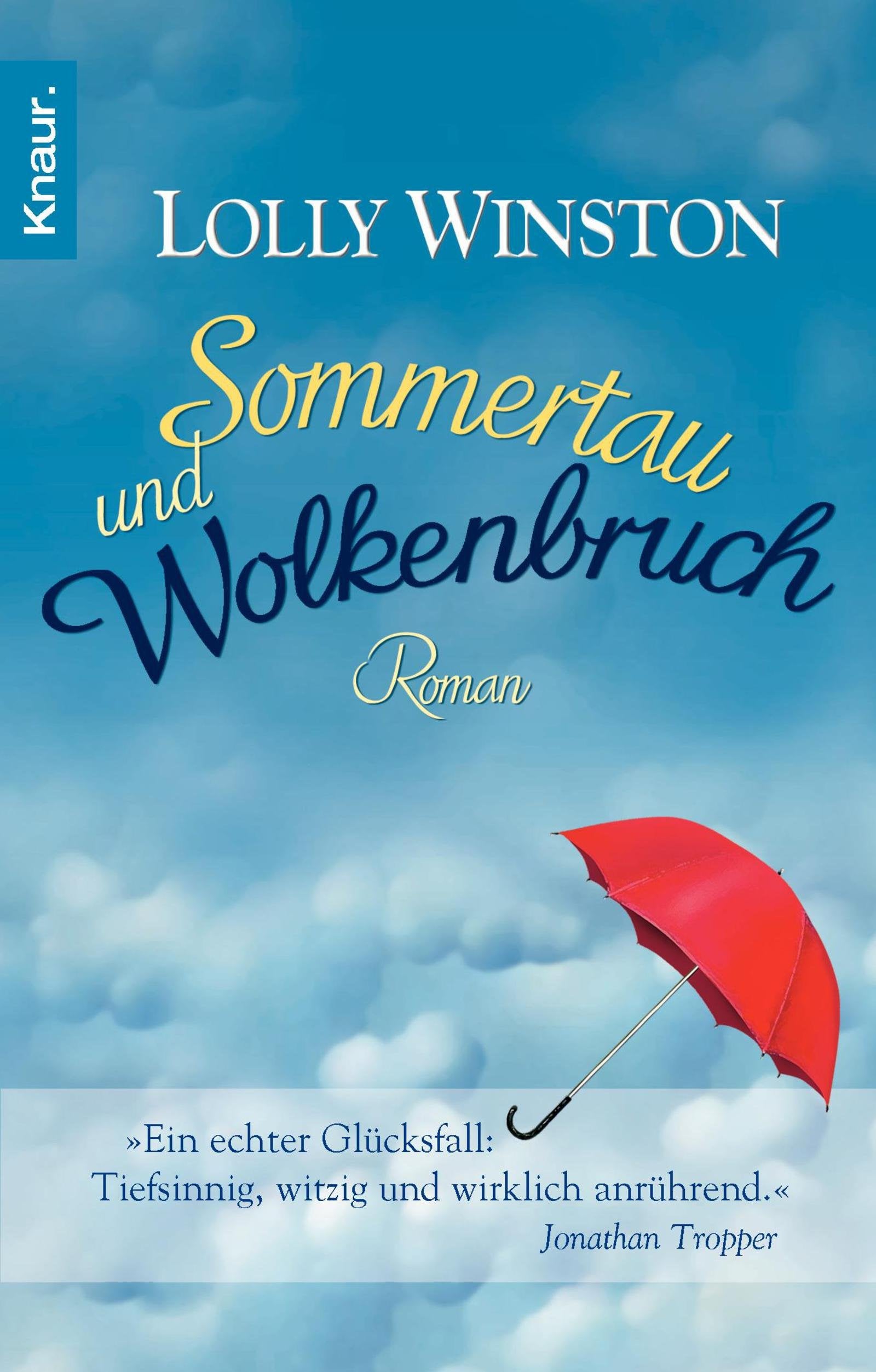 Sommertau und Wolkenbruch: Roman Contemporary literature