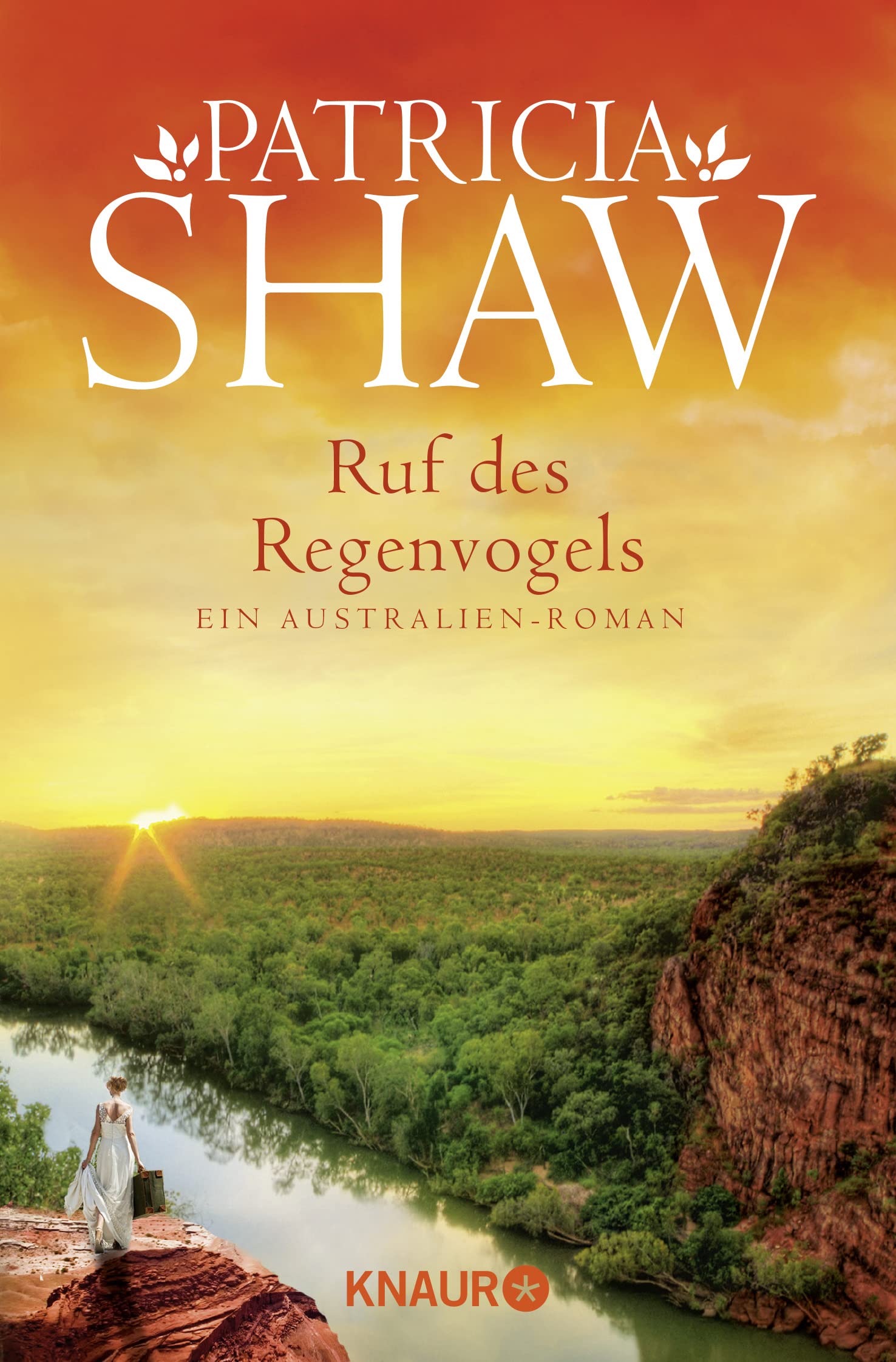 Ruf des Regenvogels Contemporary literature Books