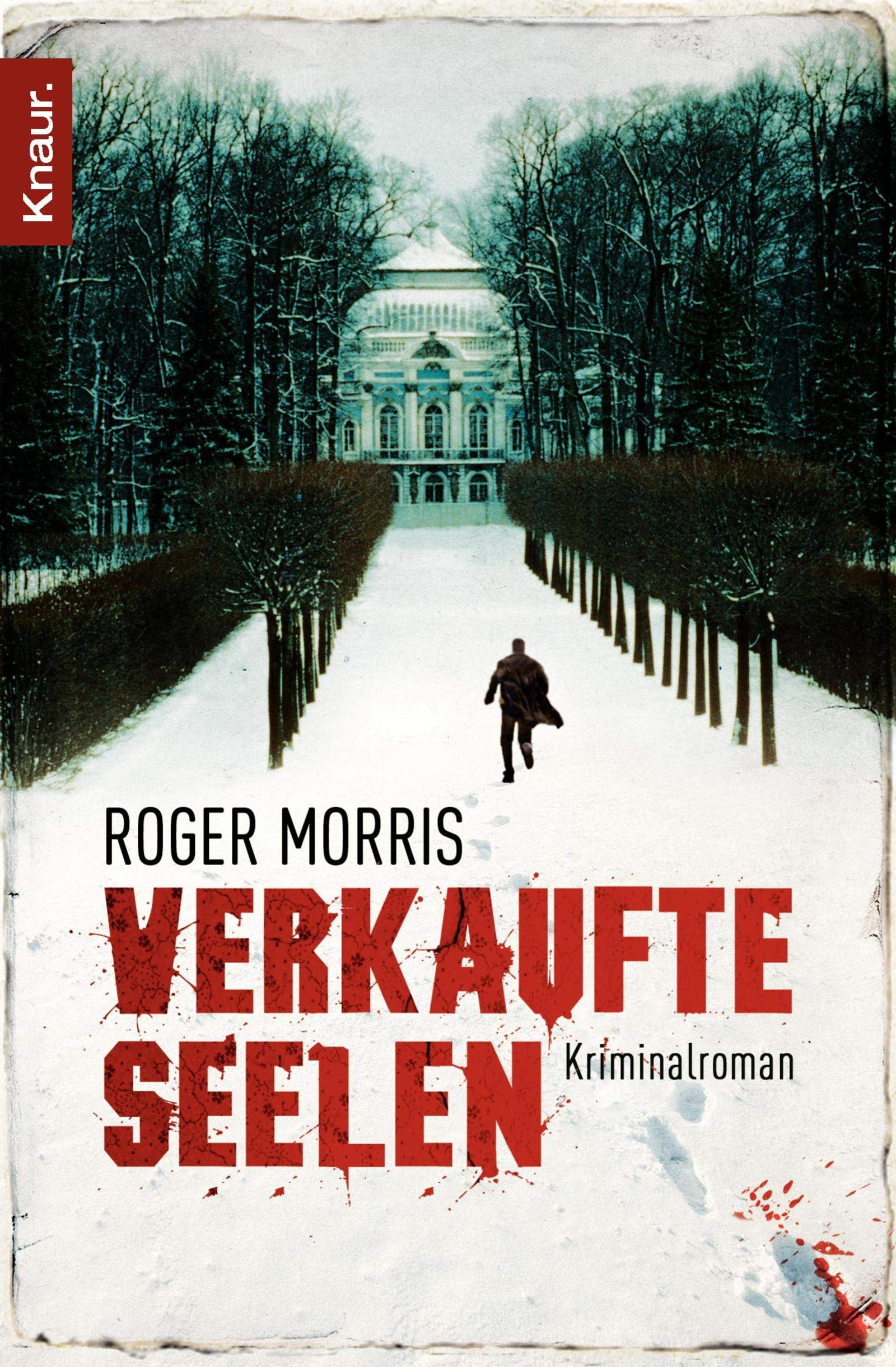 Verkaufte Seelen: Kriminalroman Contemporary literature