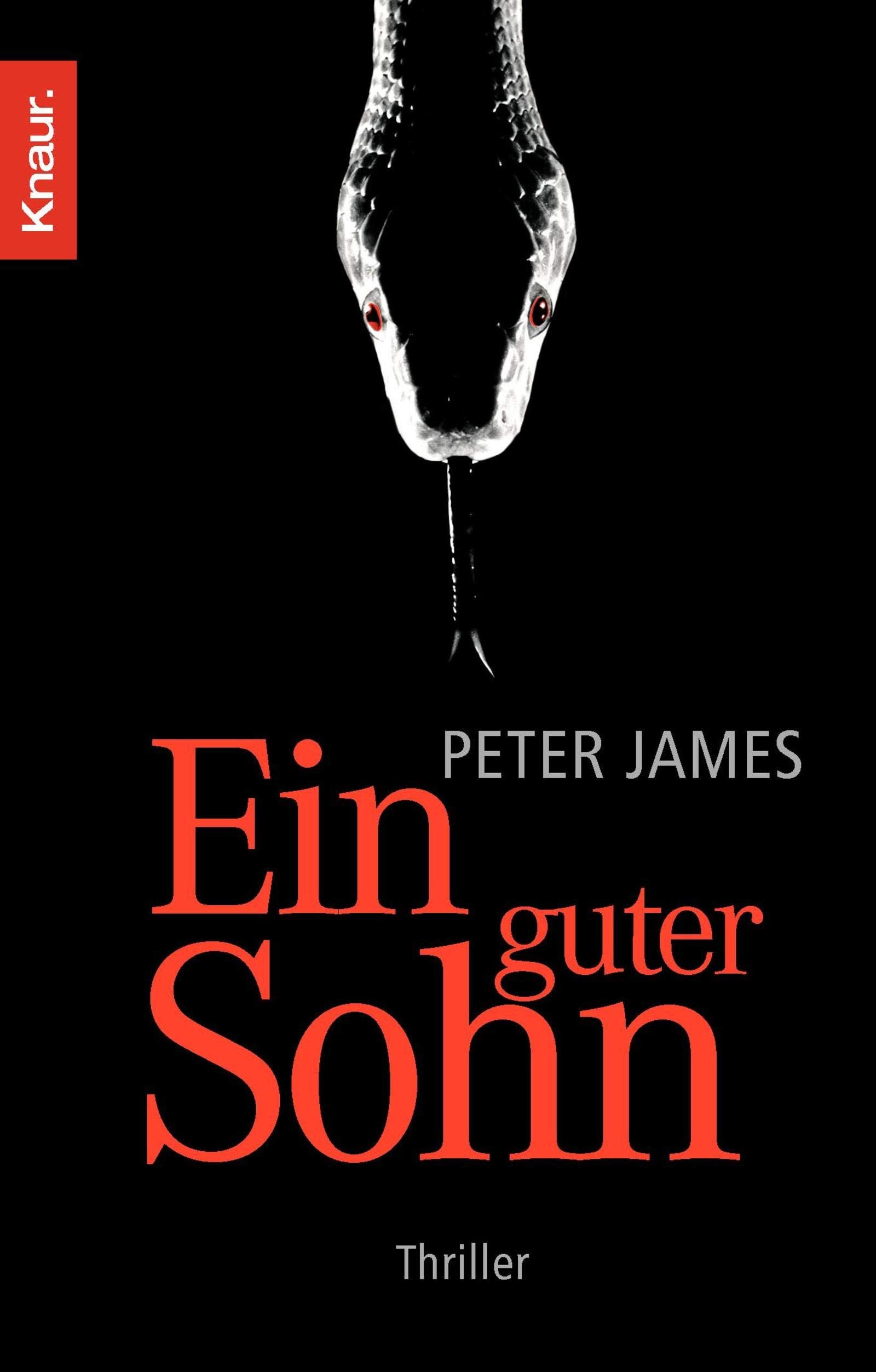 Ein guter Sohn Contemporary literature Books