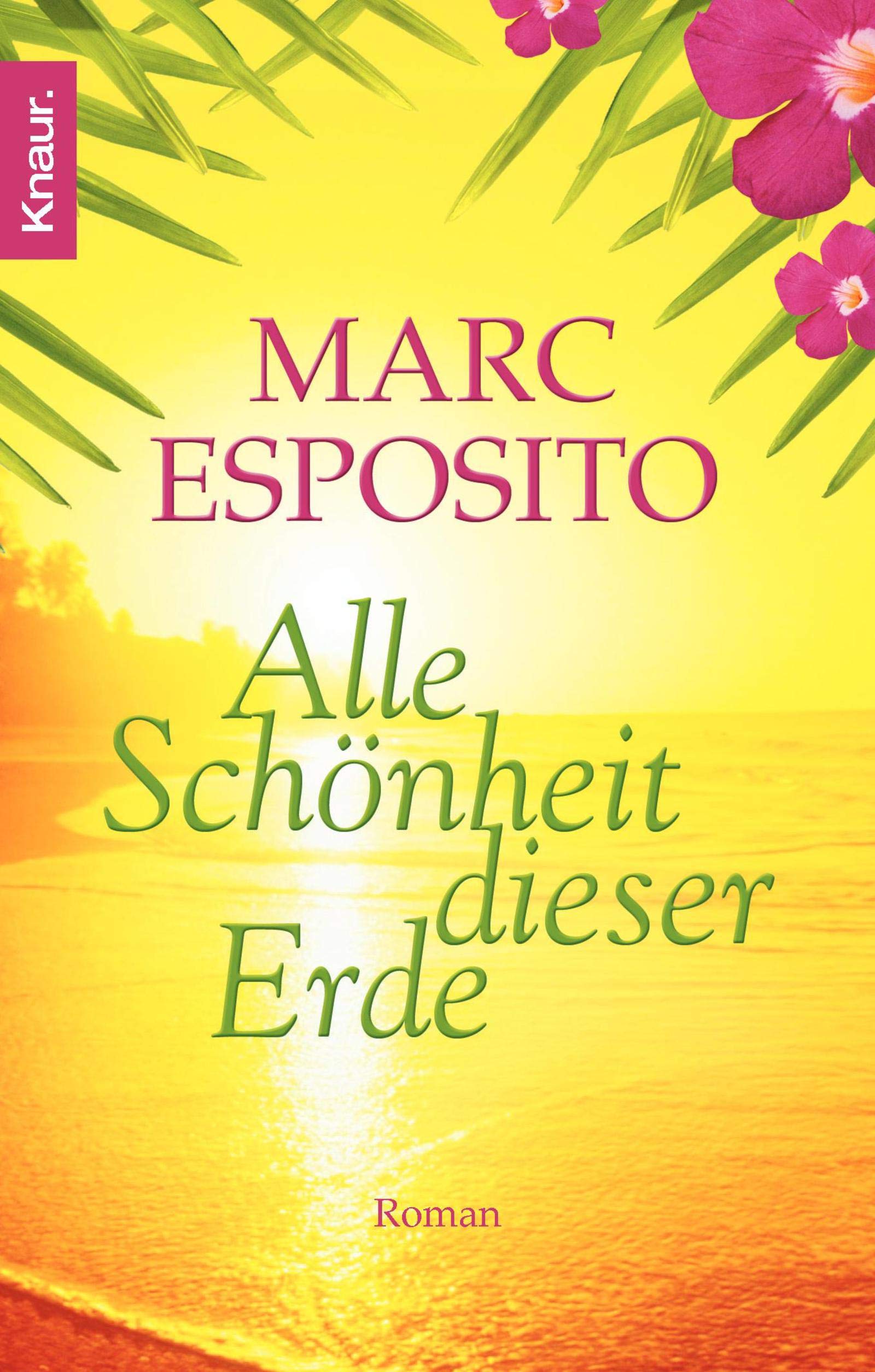 Alle Schönheit dieser Erde: Roman Contemporary literature
