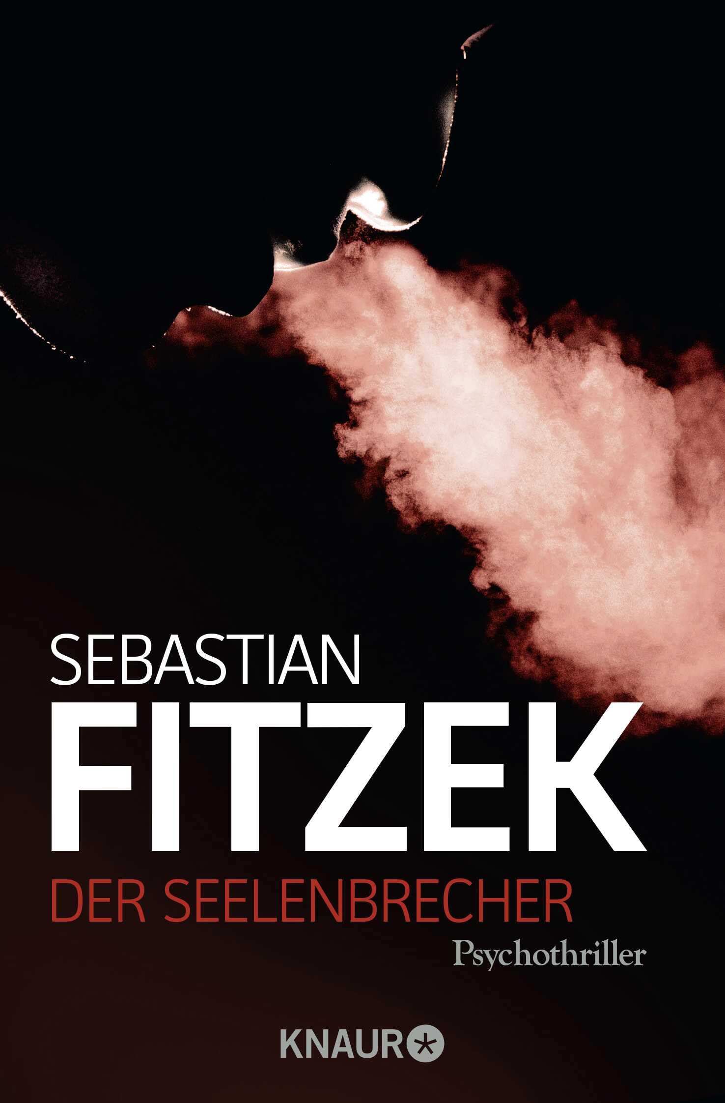 Product Image: Der Seelenbrecher