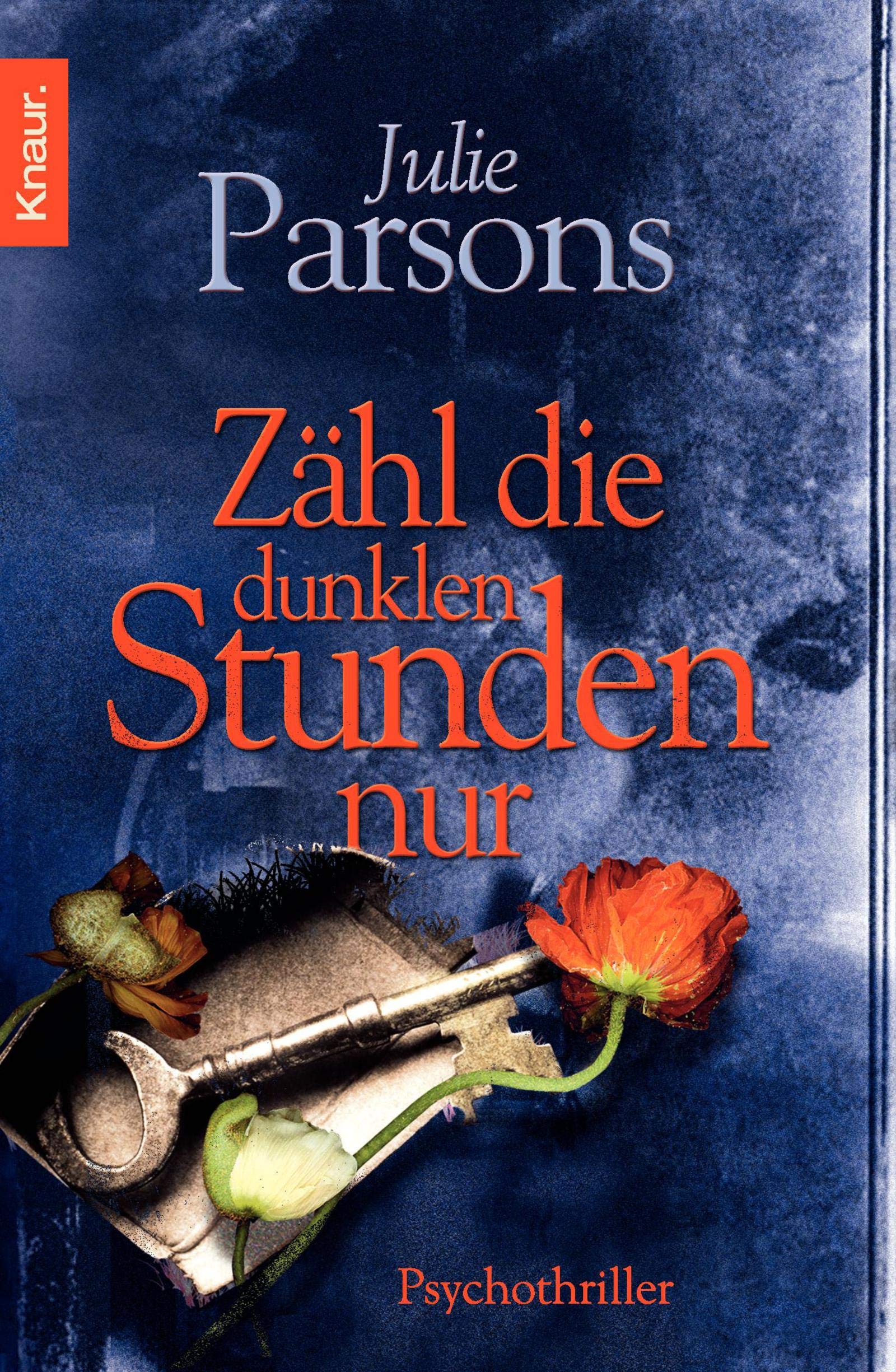 Zähl die dunklen Stunden nur: Psychothriller Contemporary literature
