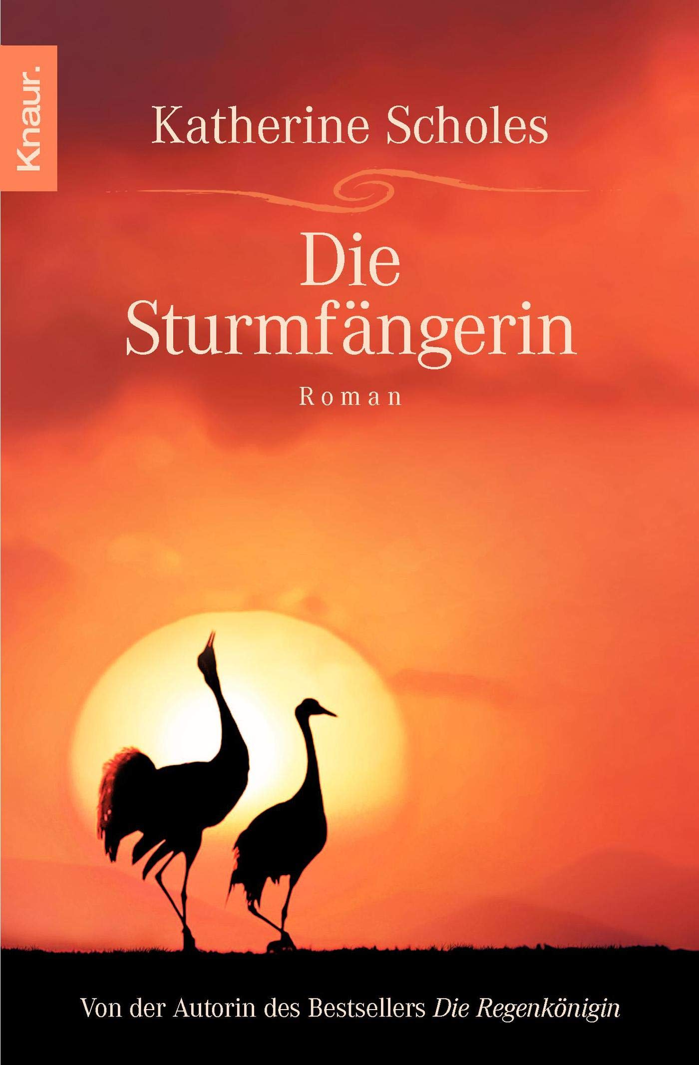 Die Sturmfängerin Contemporary literature Books