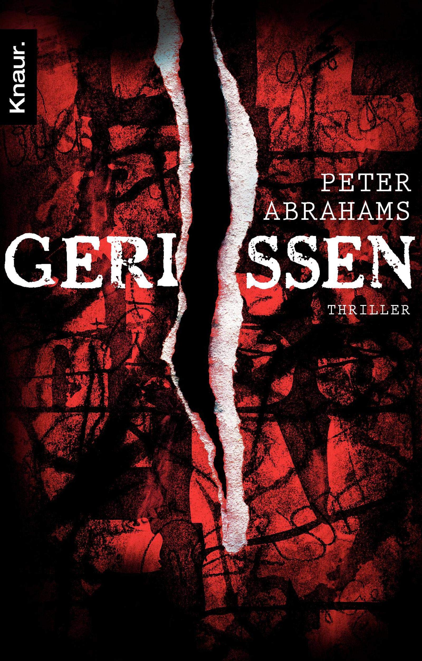 Gerissen: Thriller Contemporary literature Books