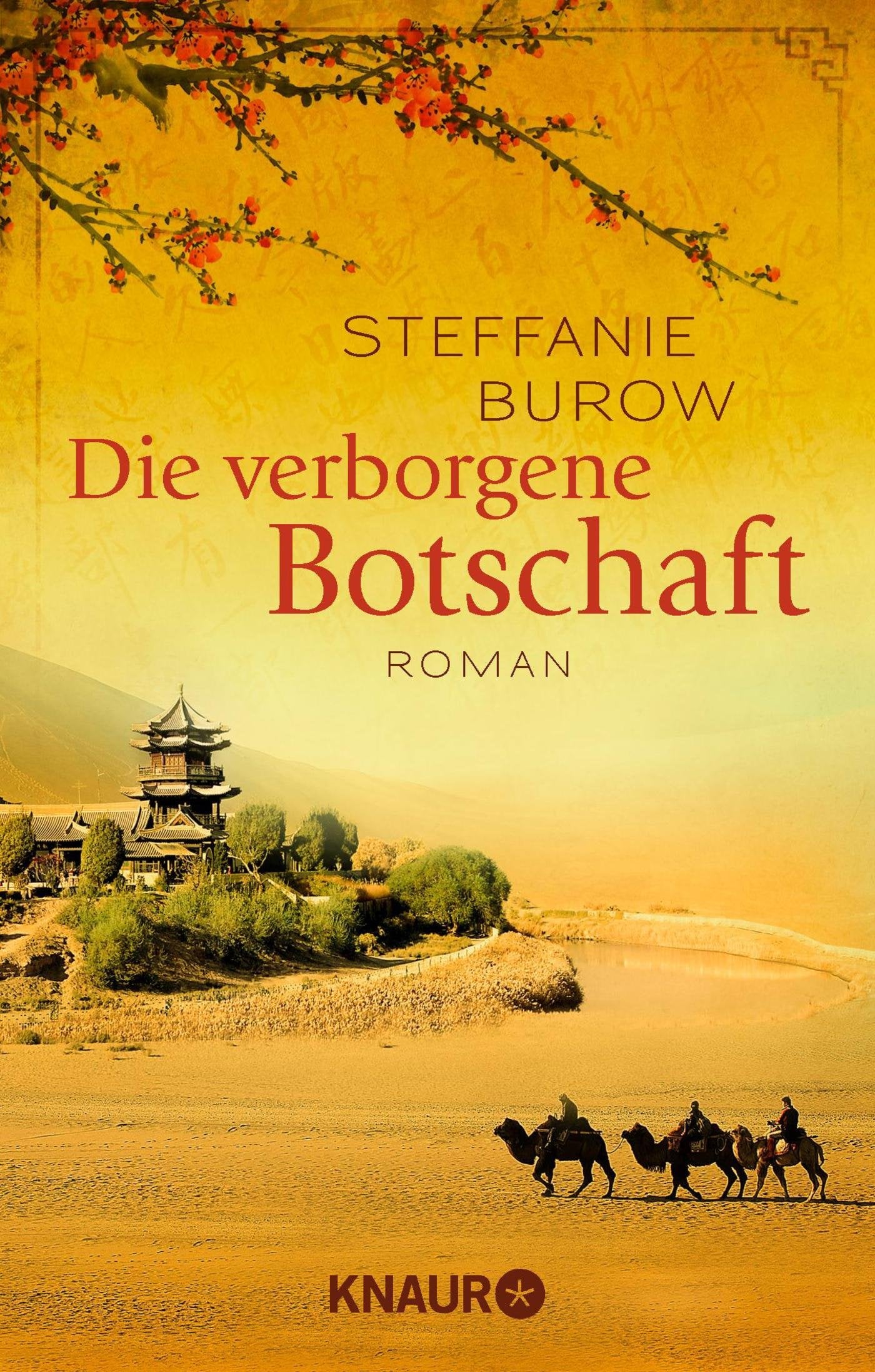Die verborgene Botschaft Contemporary literature Books