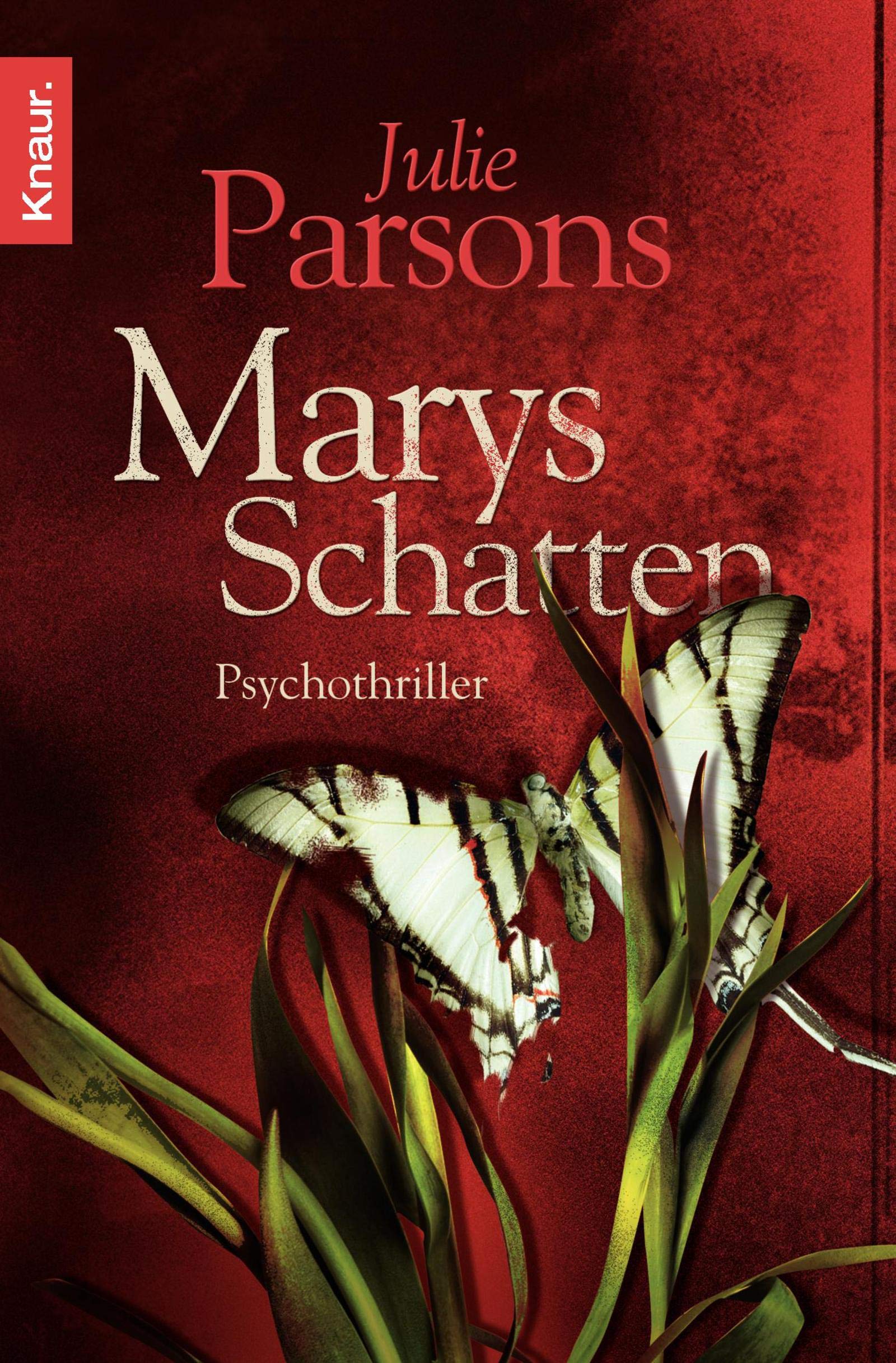 Marys Schatten: Psychothriller Contemporary literature