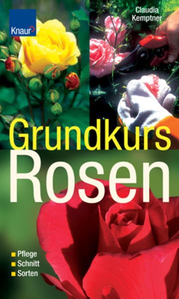 Grundkurs Rosen: Pflege - Schnitt - Sorten Garden & Plants