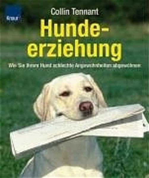 Hundeerziehung: Wie Sie Ihrem Hund schlechte Angewohnheiten abgewöhnen Pets
